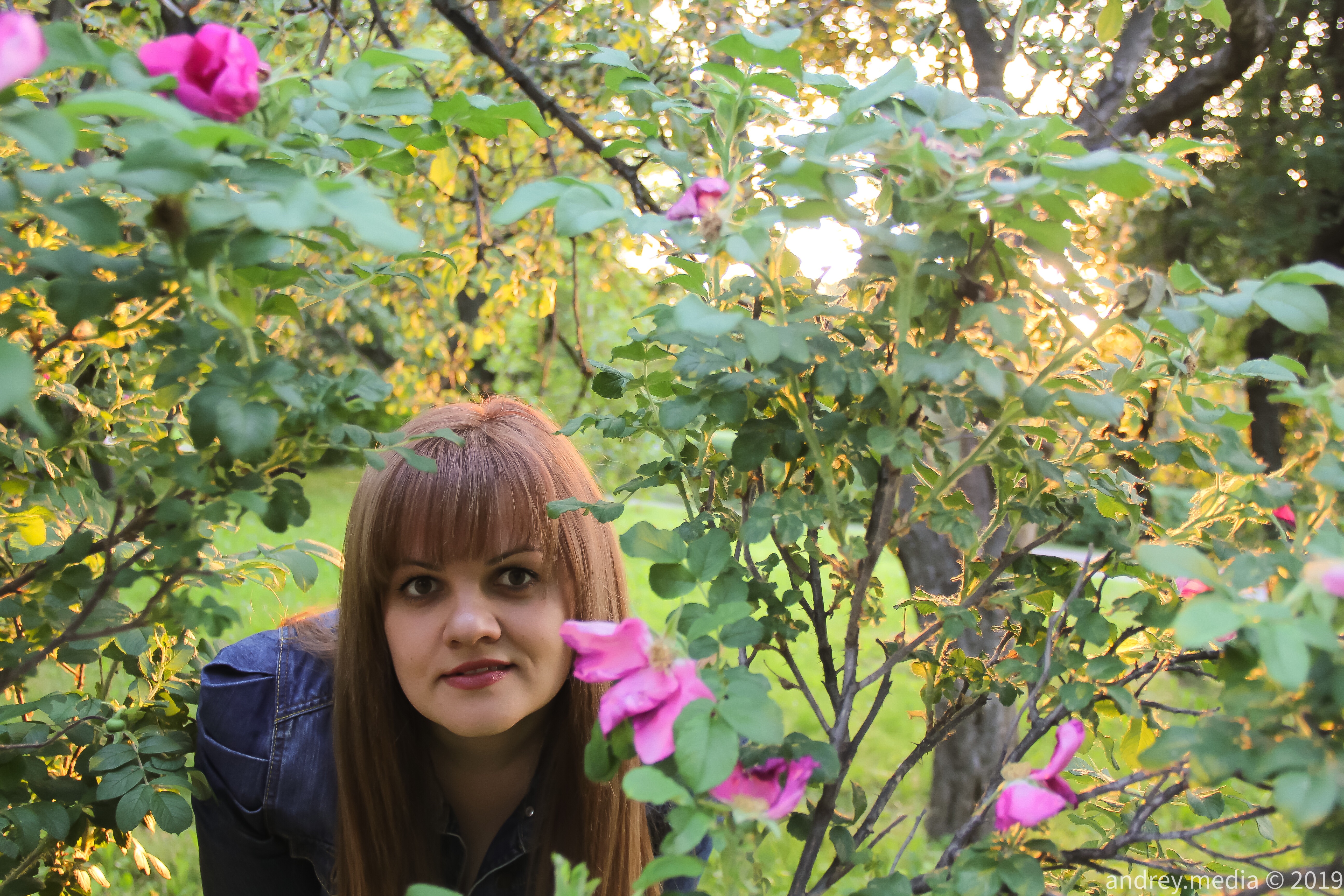 D436E98B 11CC 4E91 8296 E86509BF265E