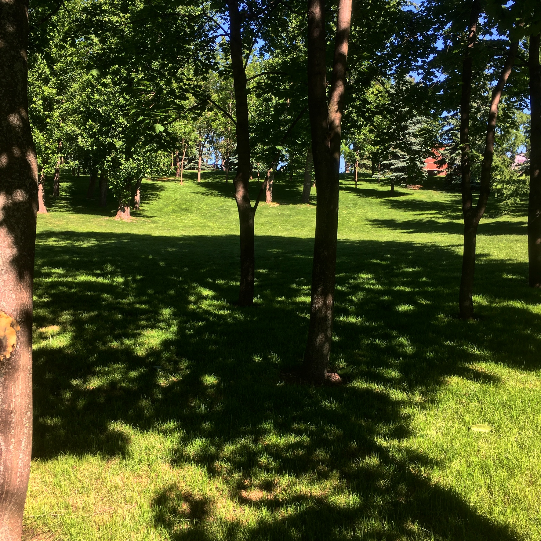 01B6CFEF 2BCE 41D5 9C32 AB9FBE81F816