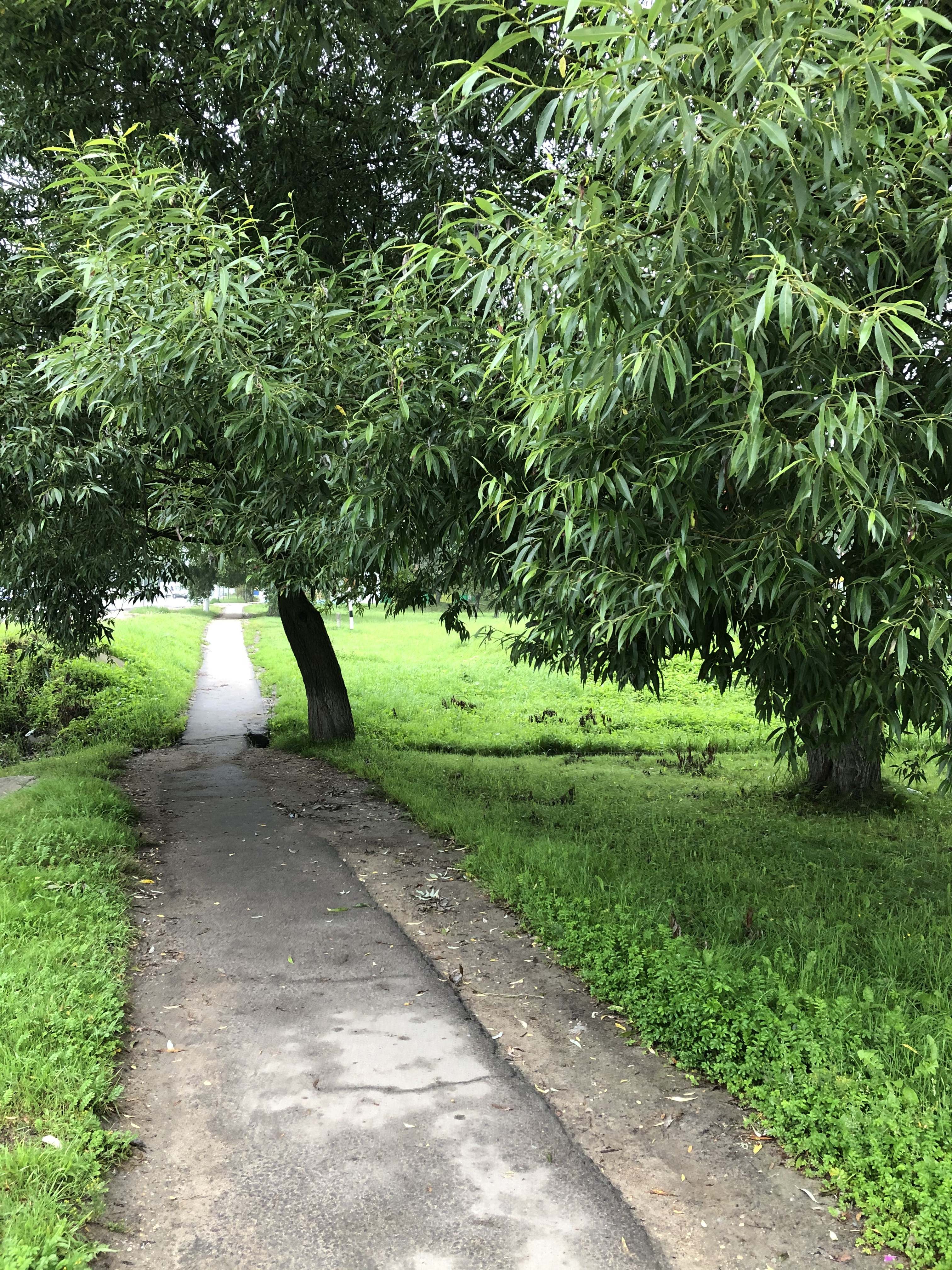 0593E031 82F8 4C3B A699 21CA9E81D81C