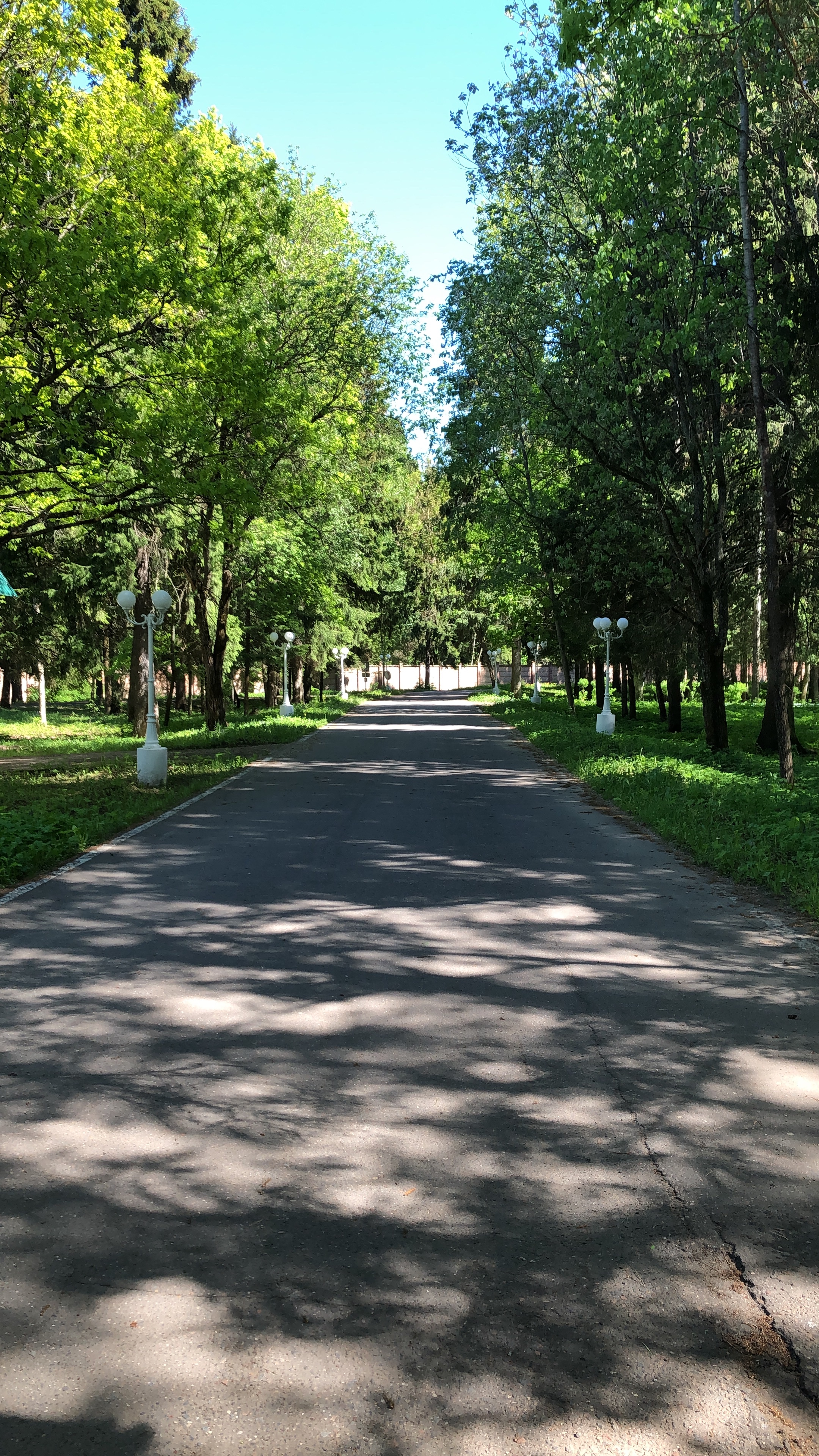 22EB24DD 4413 4728 82CA 16E17DC31E17