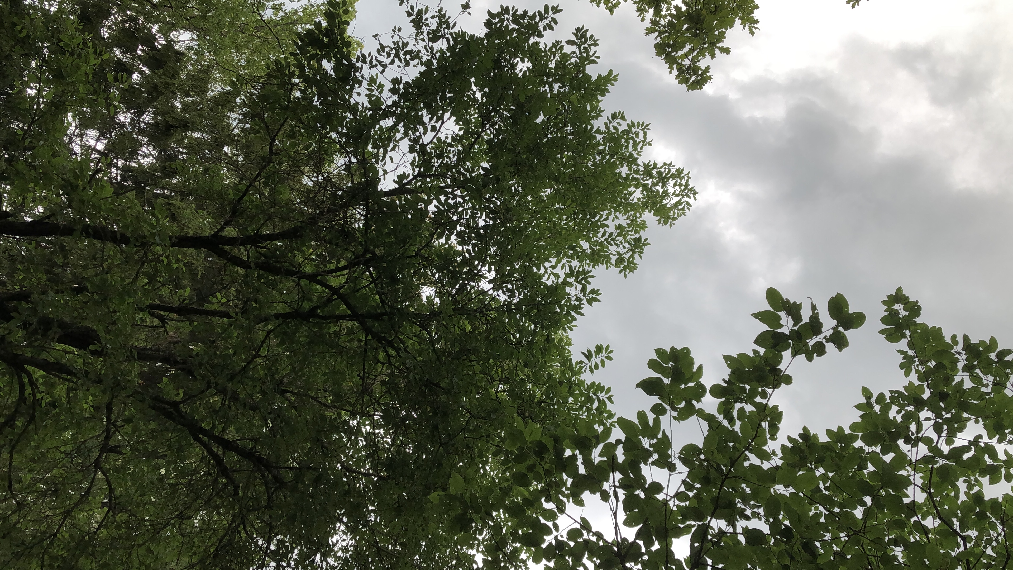 3B3E57BD 1BBD 47E6 B6B3 40C9E3B54499