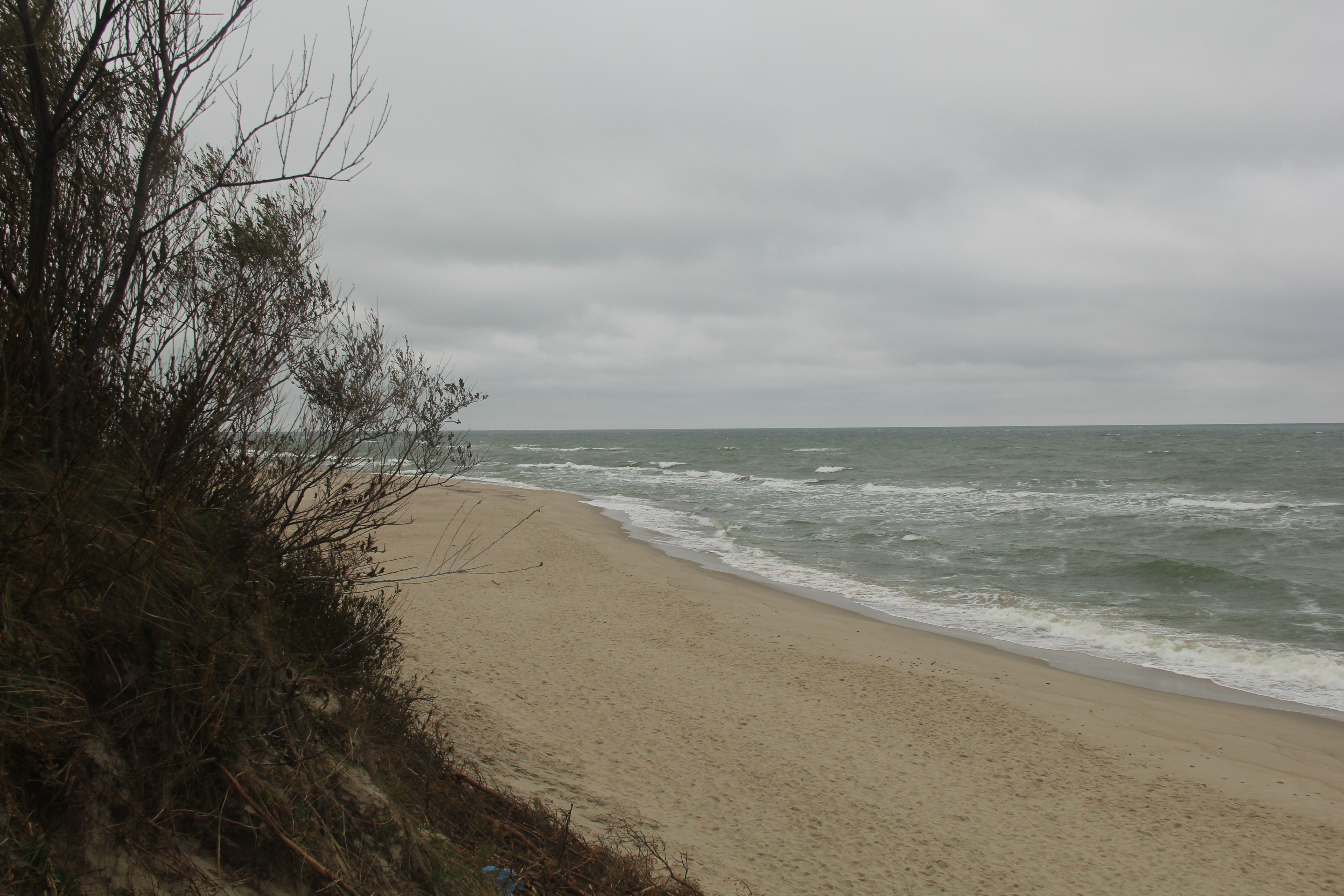 6FAFE2CD 6630 460E 856F 7B369FD25CB3