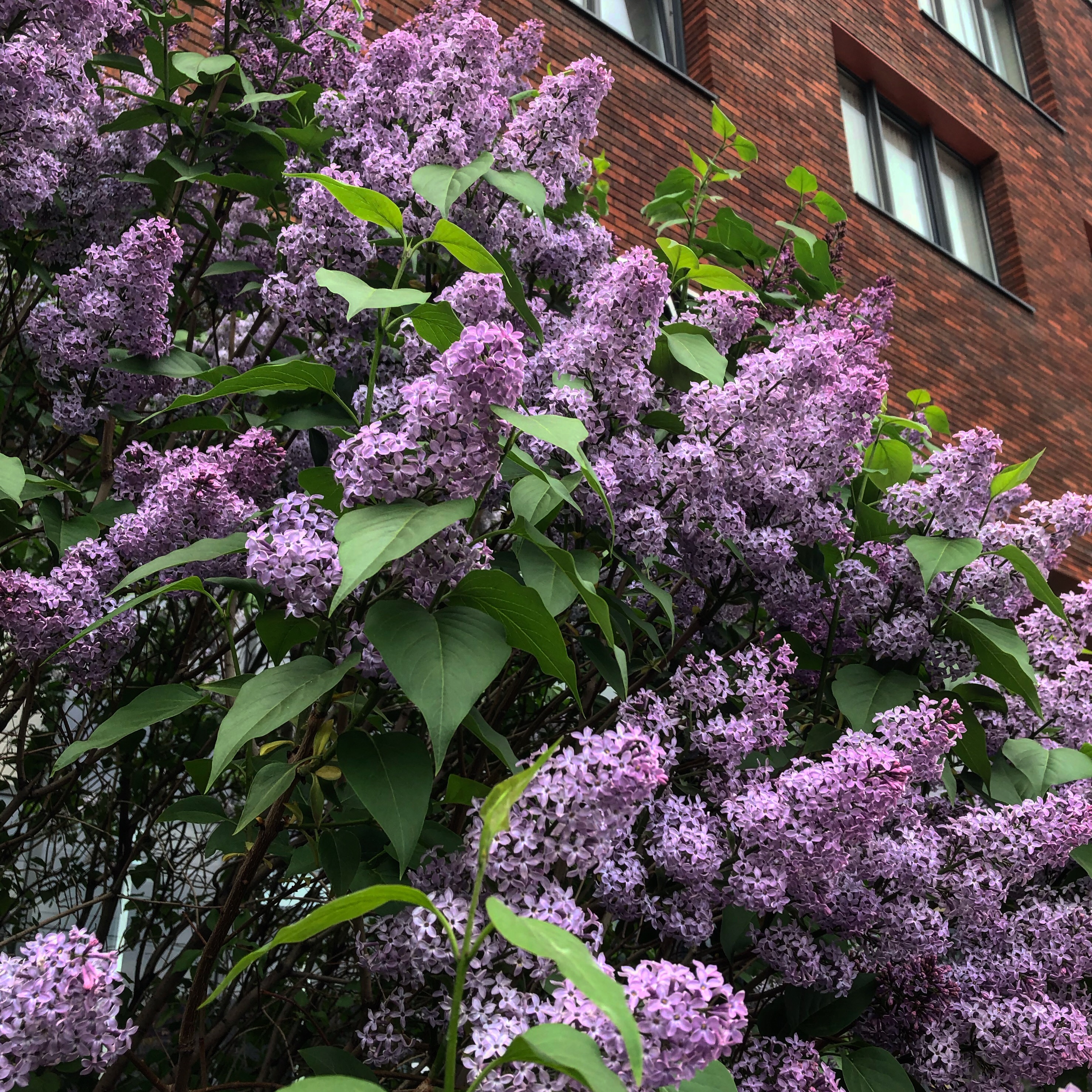 708CEE2C B868 4EA3 92C0 502B78D88F5E