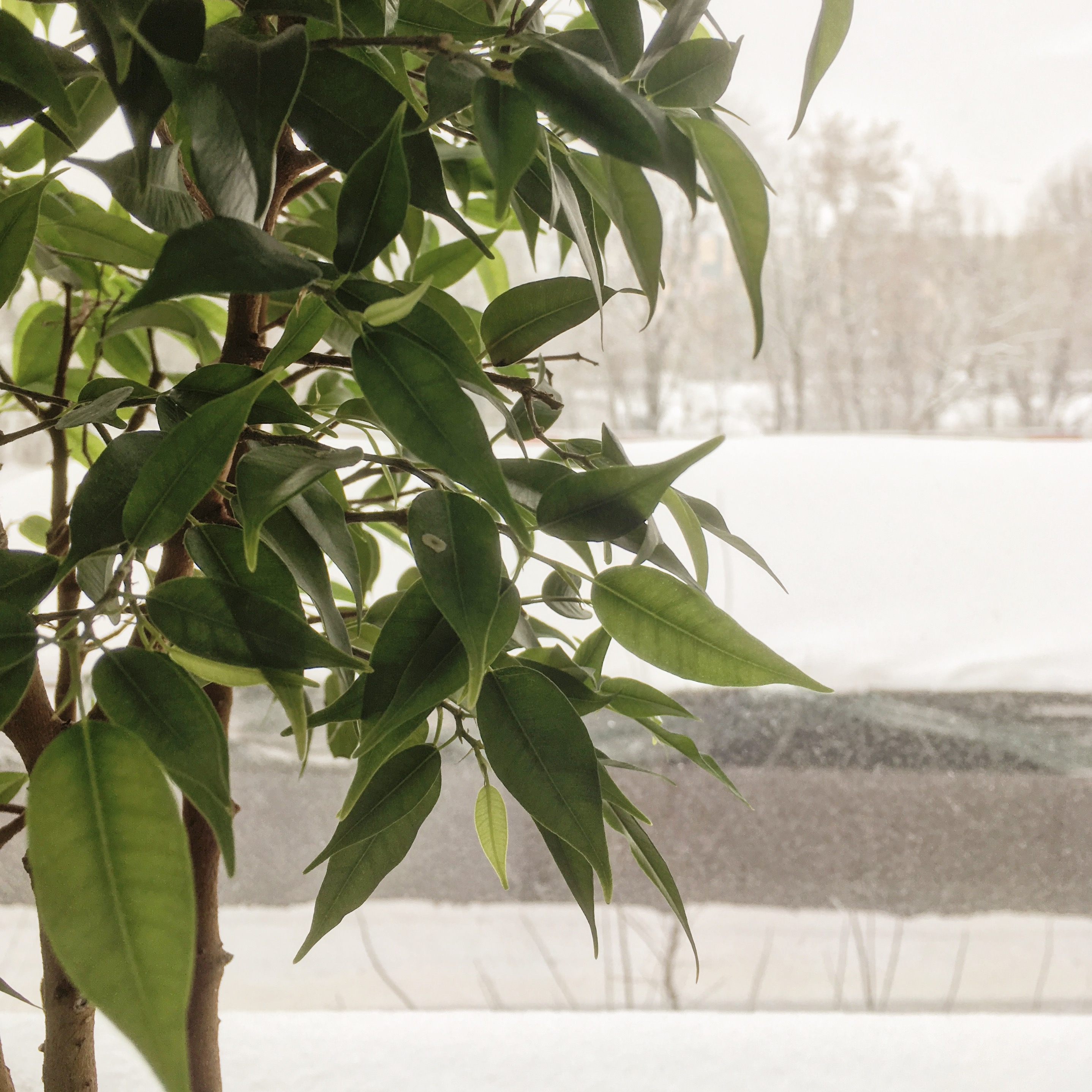 886B4F69 6402 4DF2 A5B7 24E0F8CB94DF