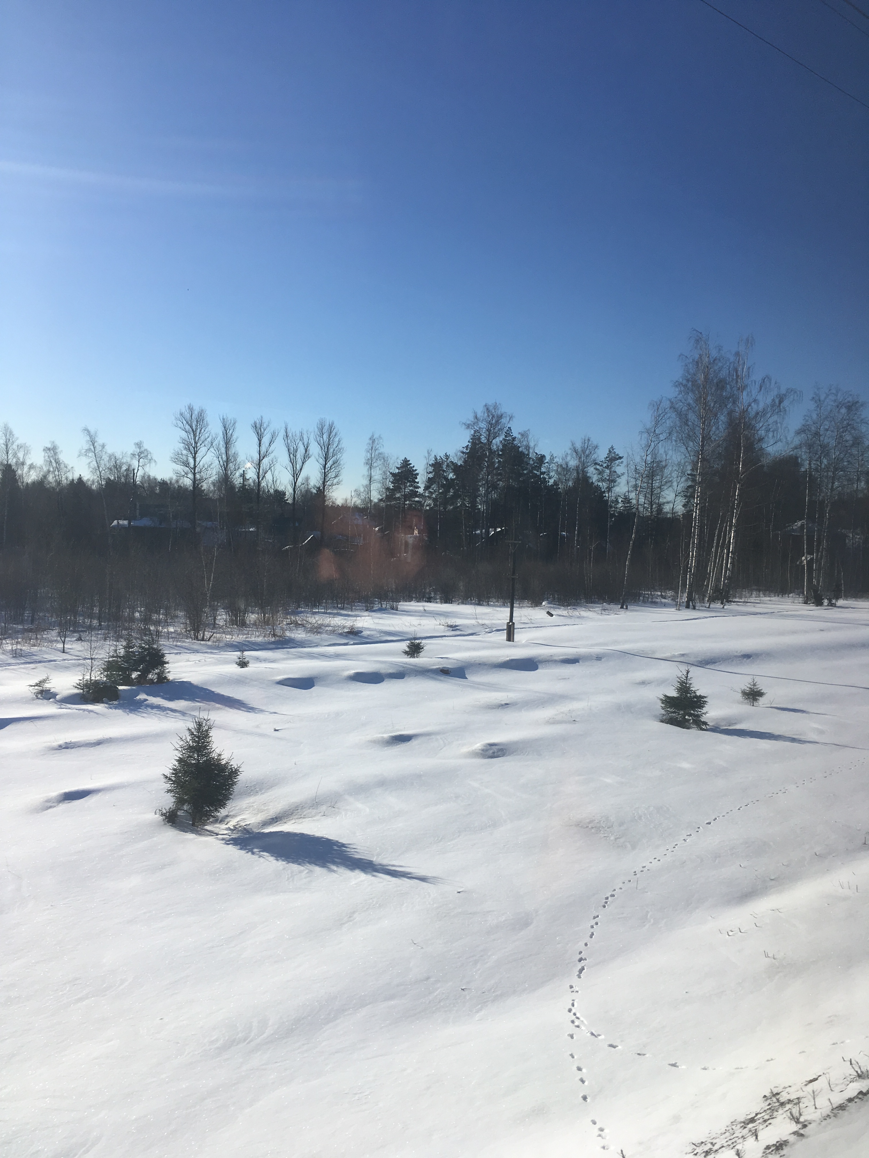 8EC86B1C 1925 4792 9D7D 481B406E23DE