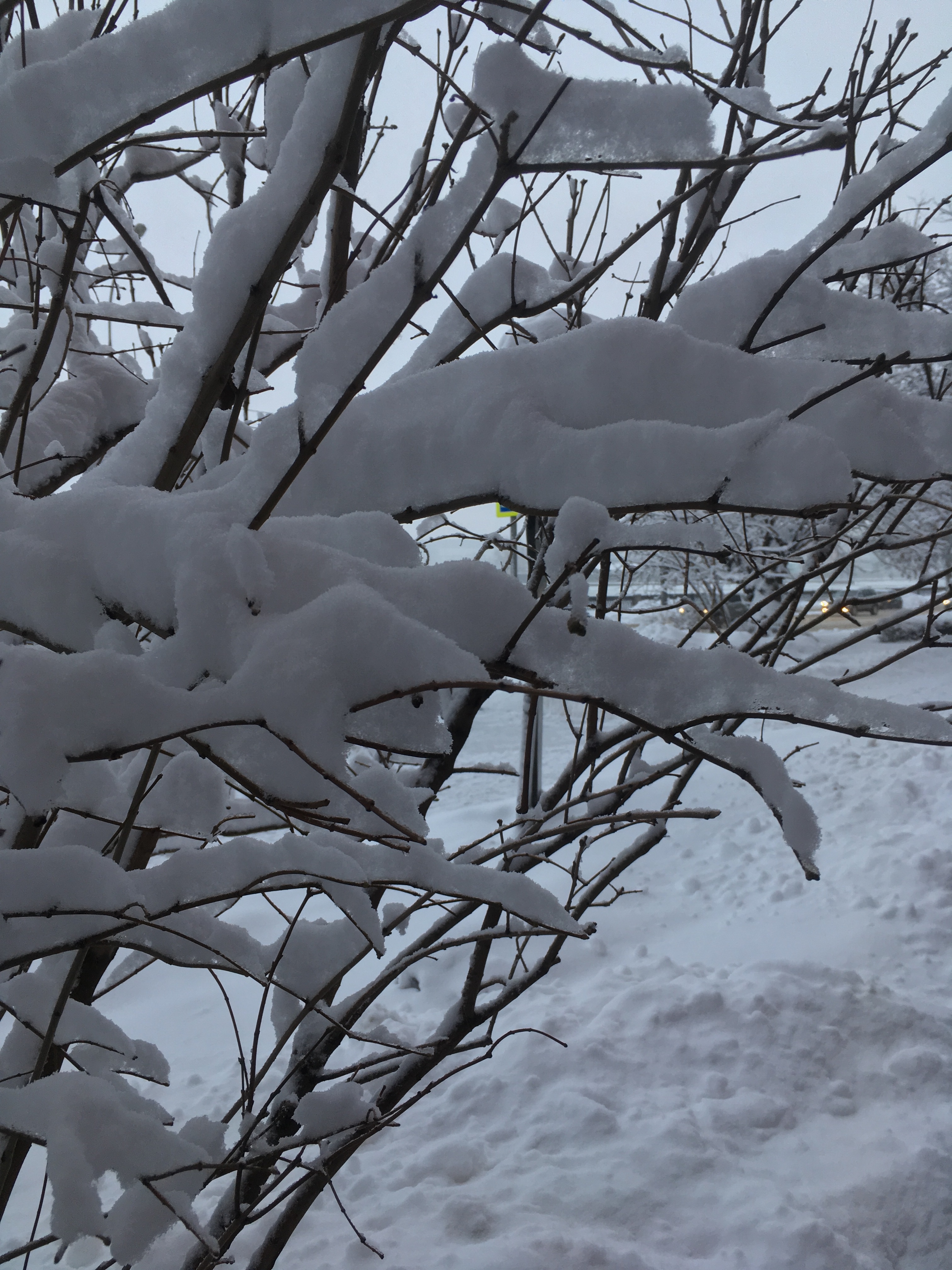 9B286C58 938A 4138 85B1 70ECBADBB962