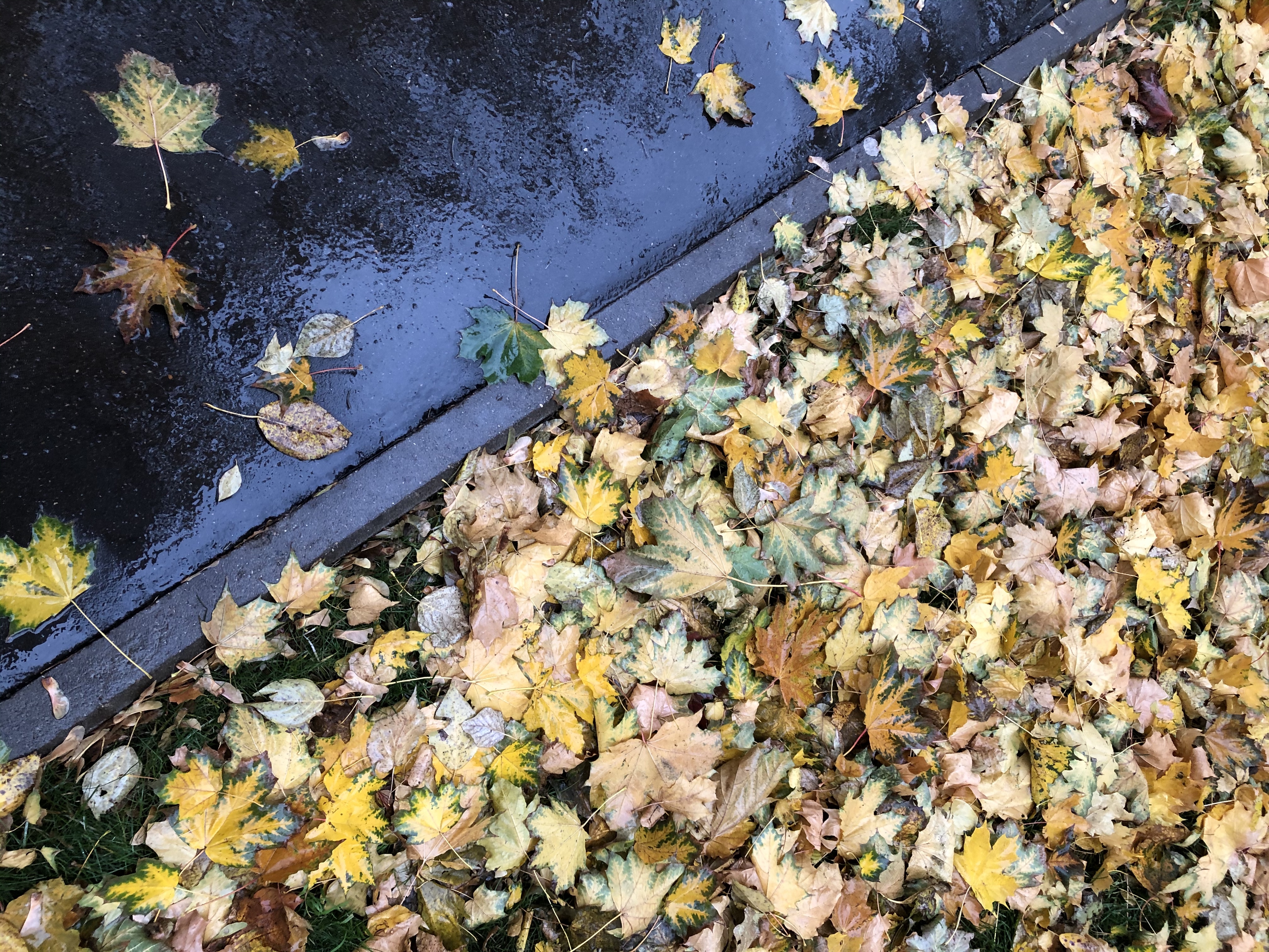 A50B280B 9C0C 4900 BA6A 37D7B1D91746