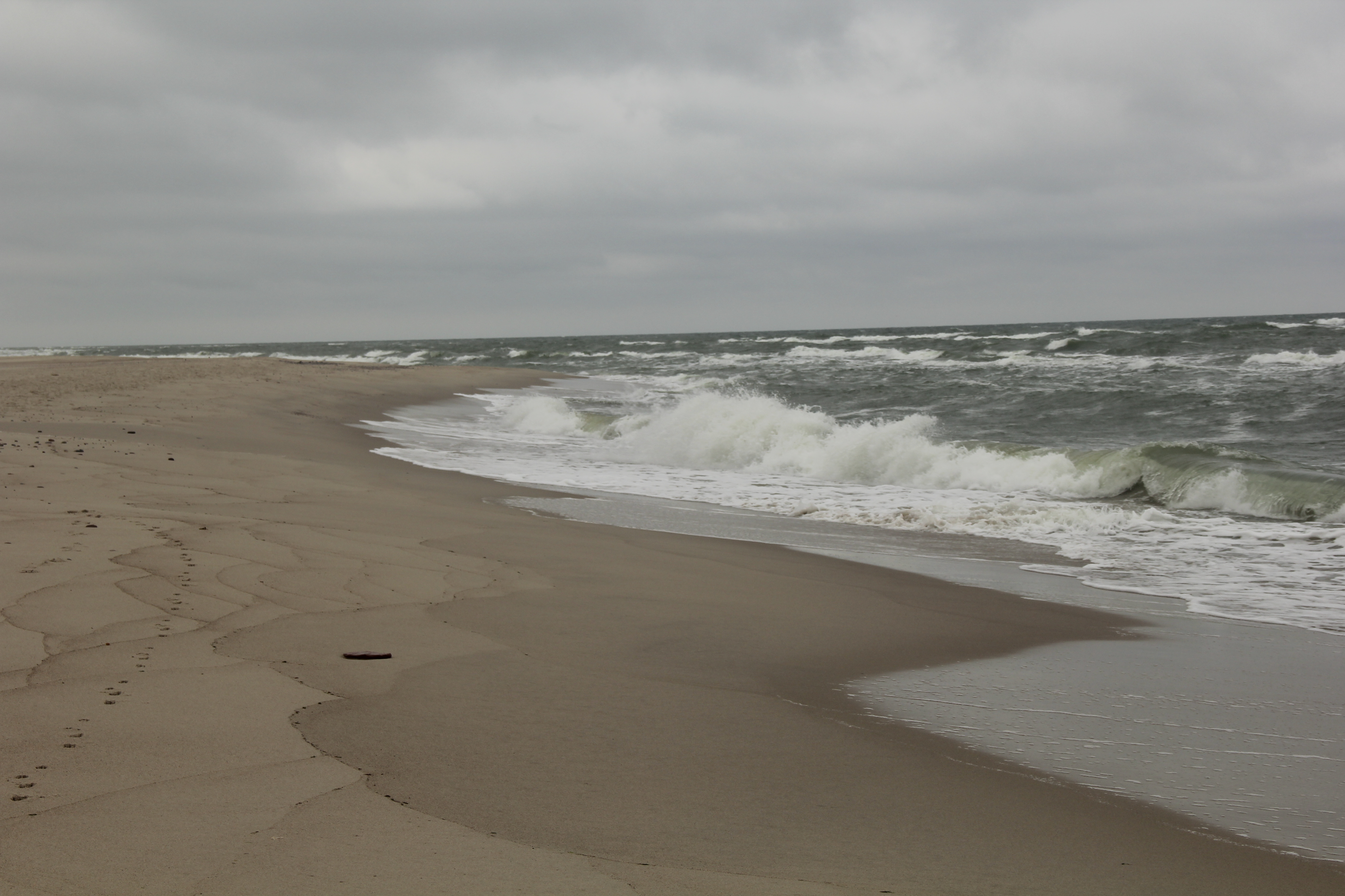 C55B010D 0F96 4B86 B484 0FC5713EA0A4