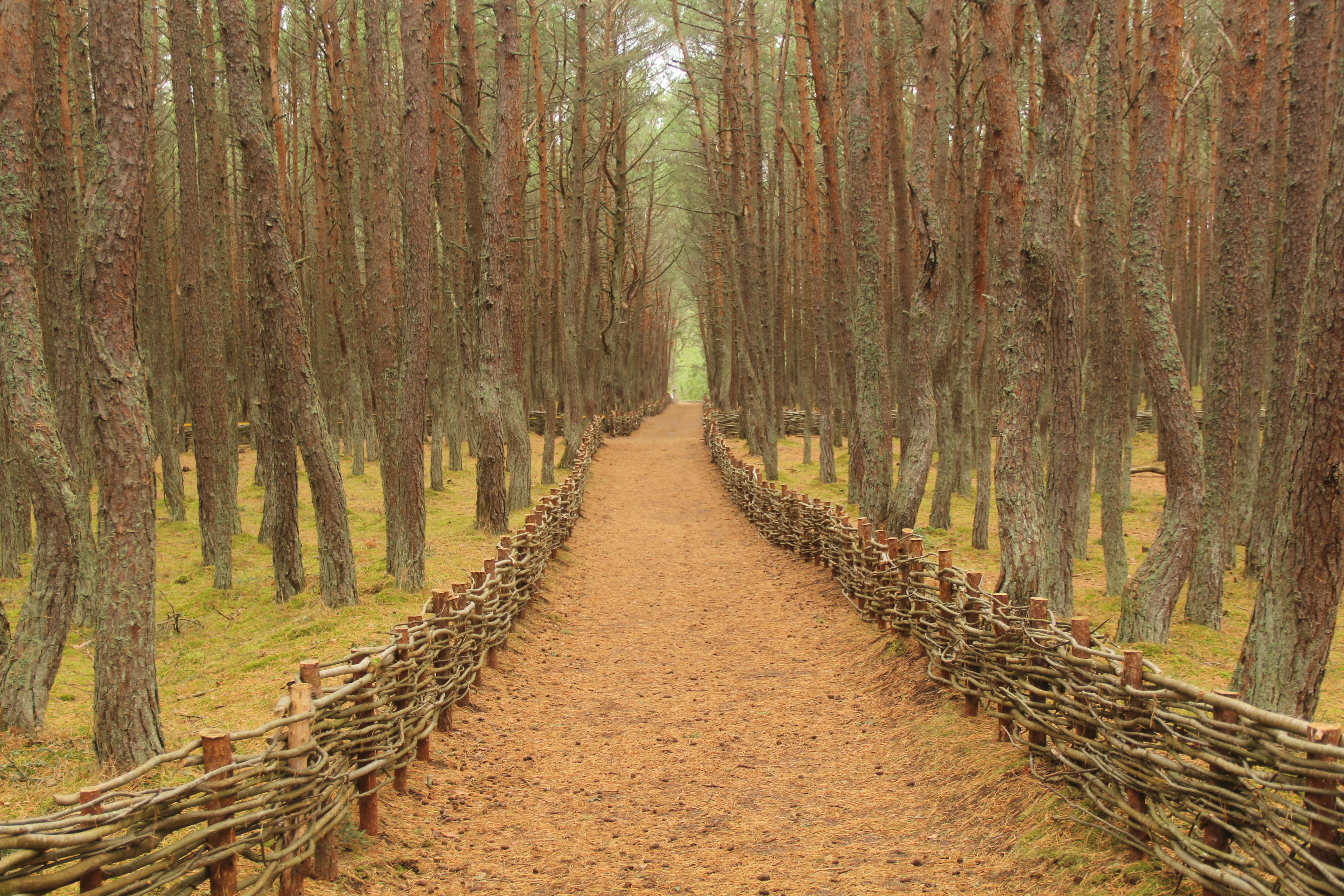 C8D3D6EC 68C9 47C0 A78D 520399723970