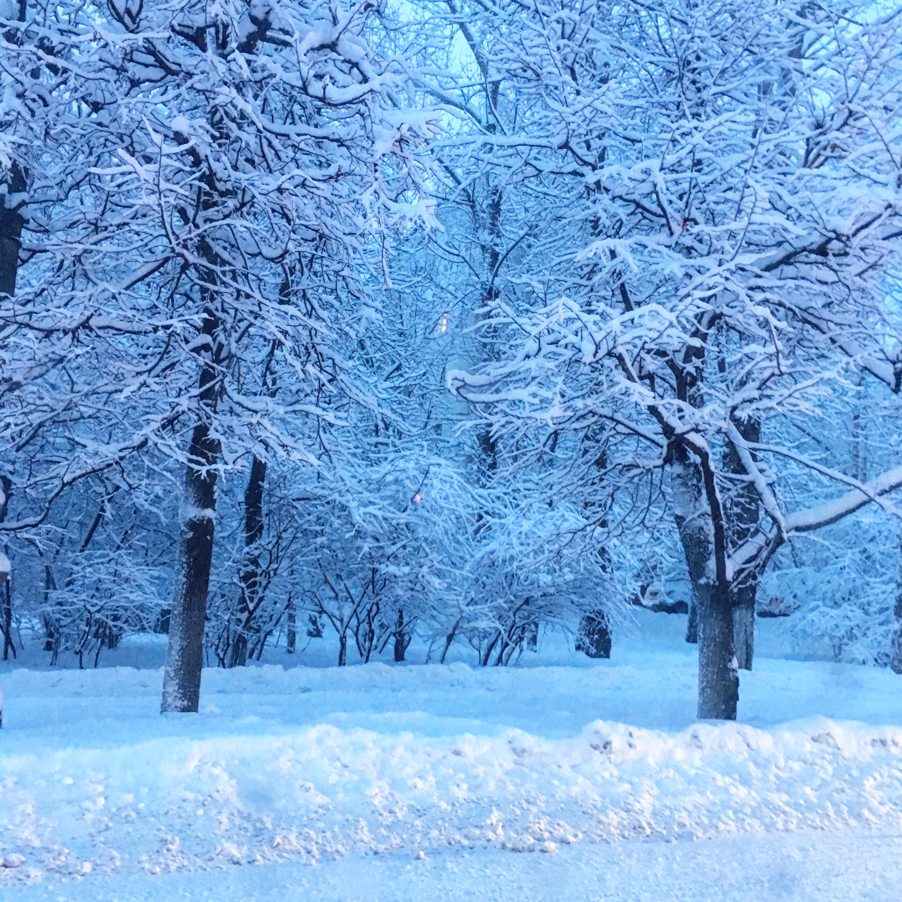 CC0E971E F711 4B7E BFBC 030E4CBAEE33