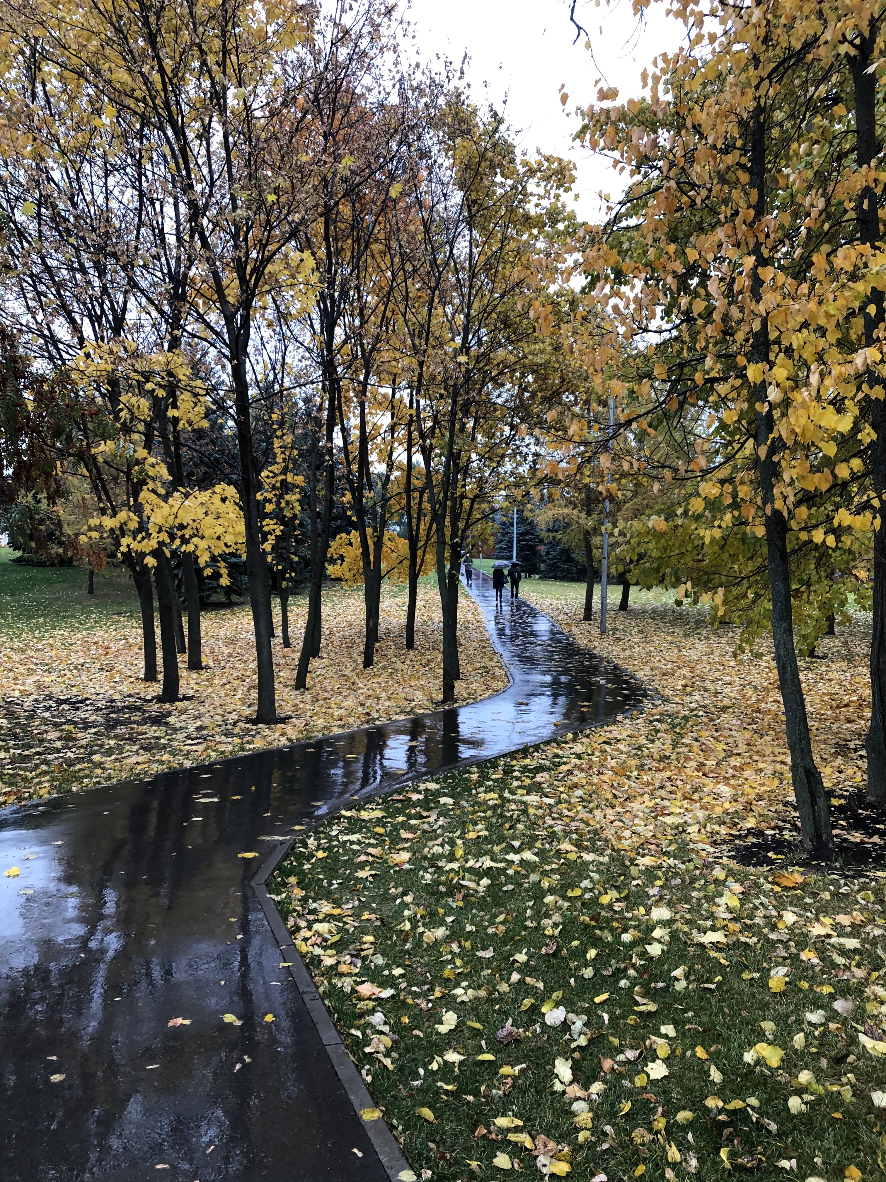 D070767B 08A3 4CF4 9B15 FEFE9DCAB779