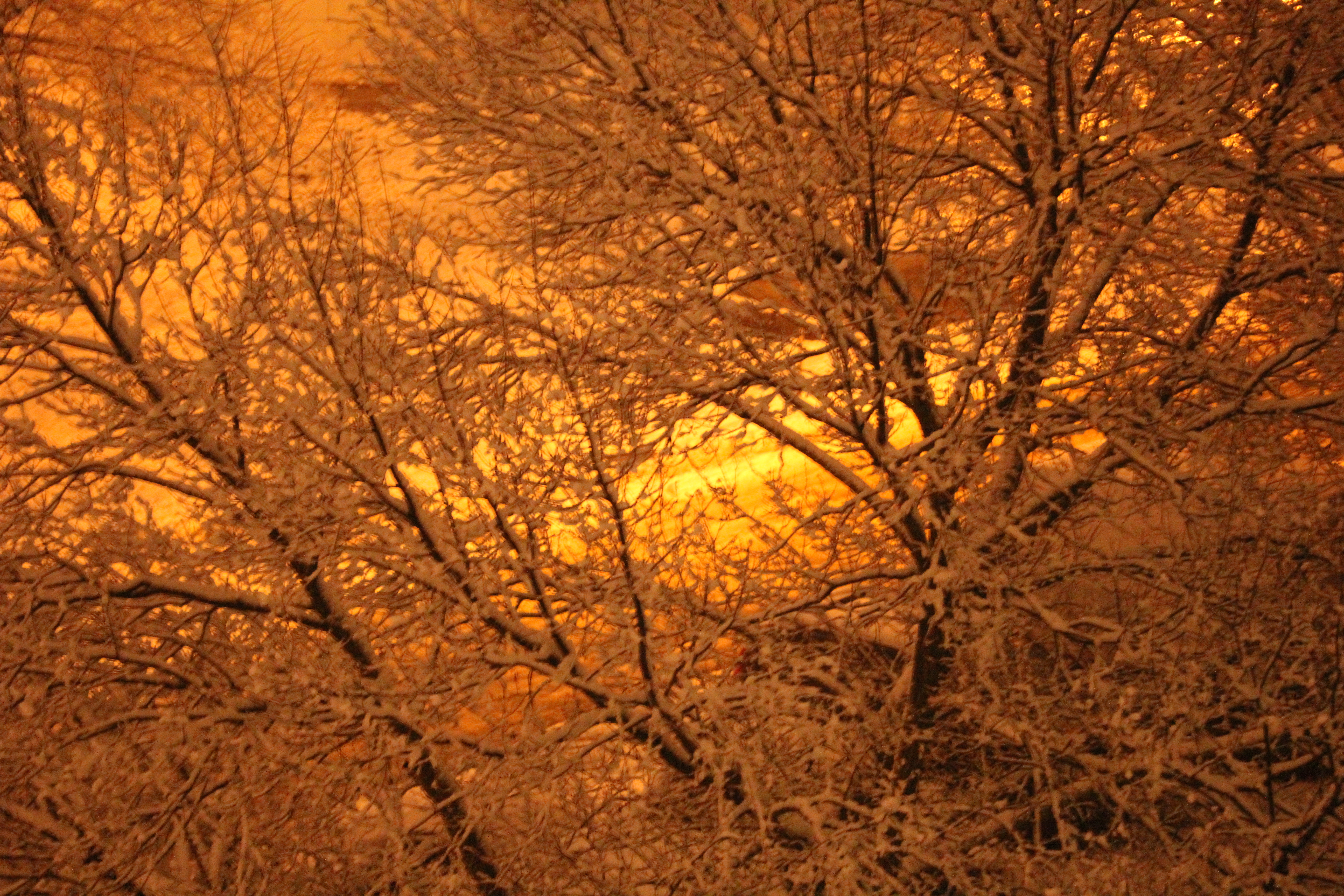 D0F9DE62 4467 4B4F AA17 E24AF2E71E5B