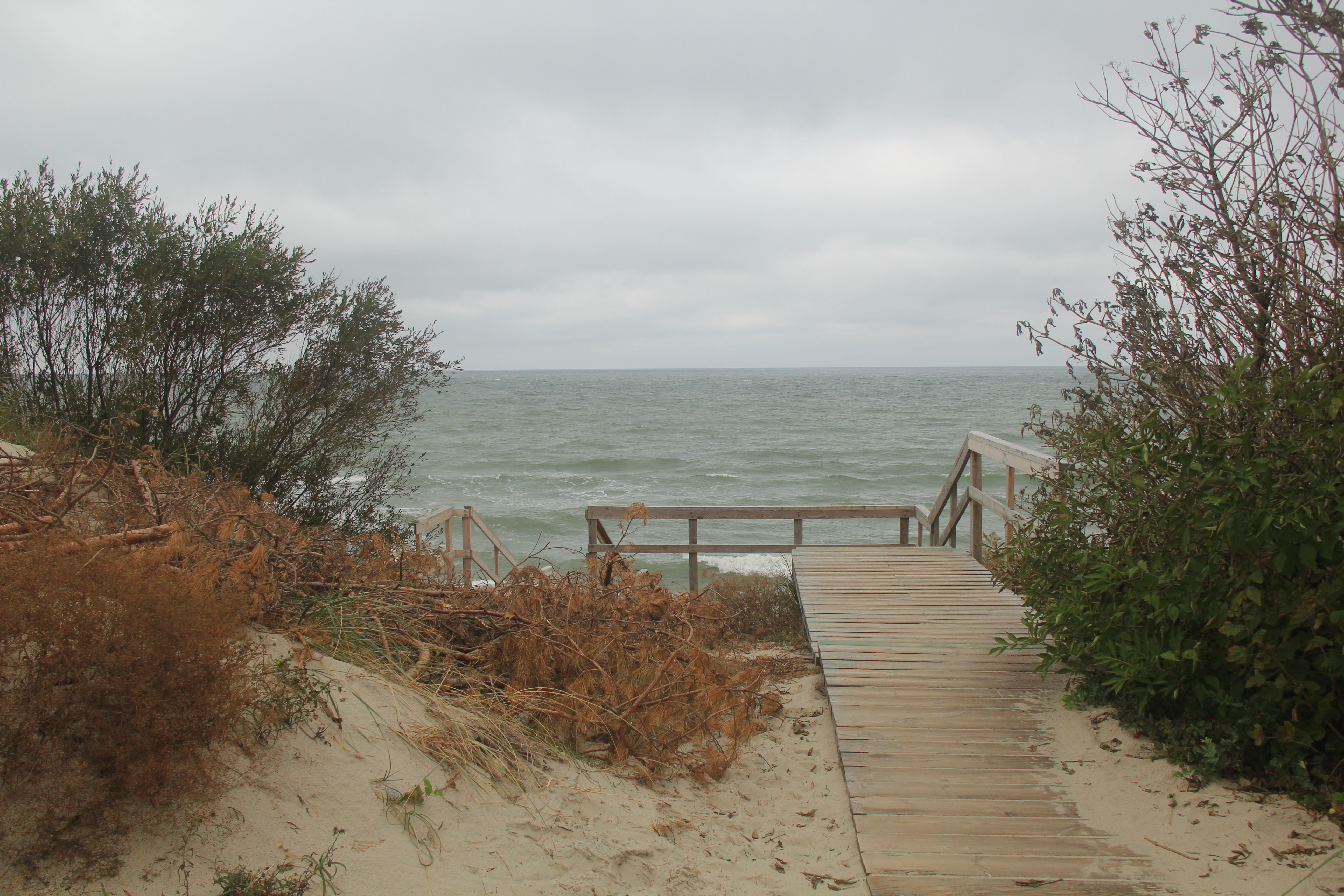 DE645D1F 97BE 4945 BB7D EDFD676F8994