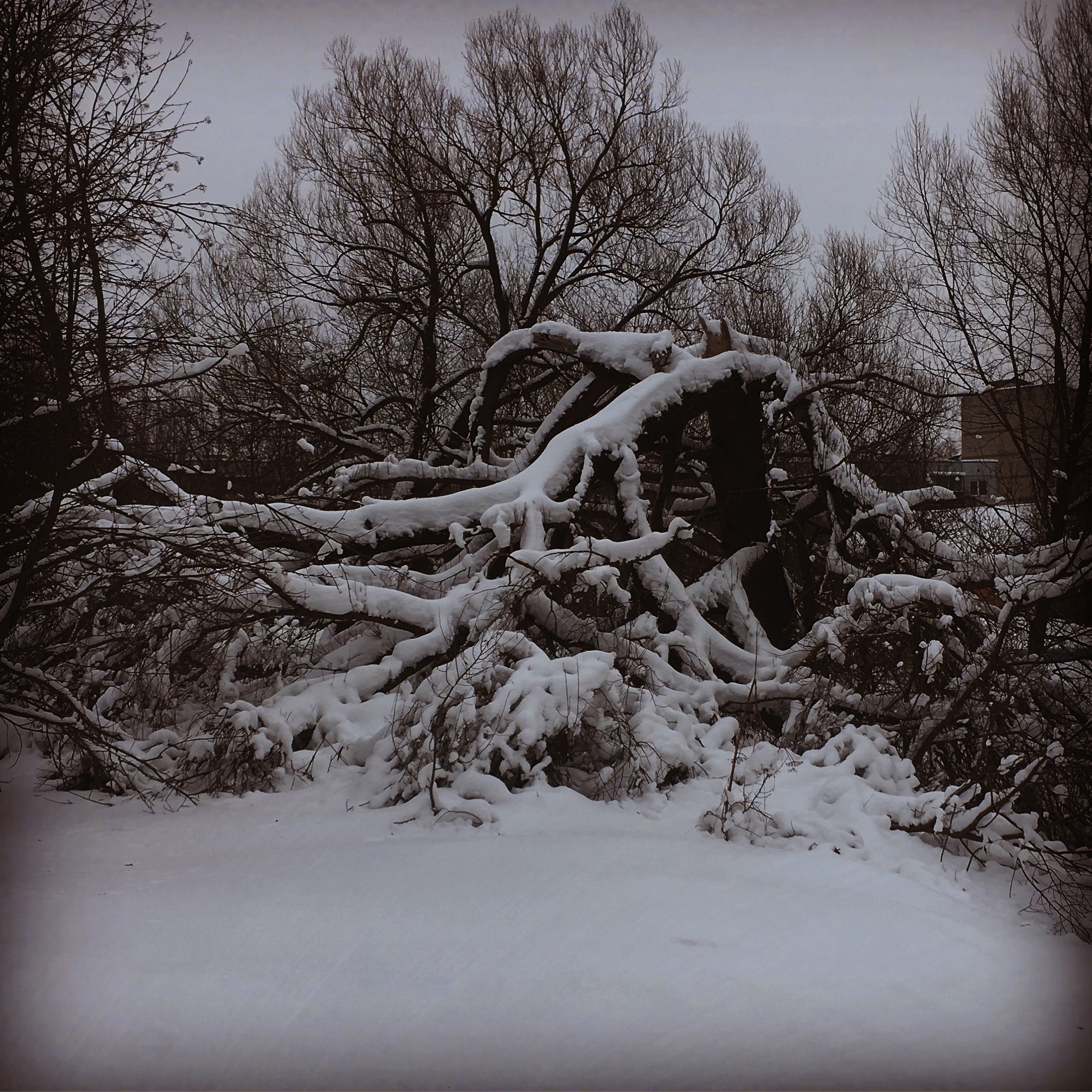 E9247387 EE24 405C 9CC4 F138BEC90519