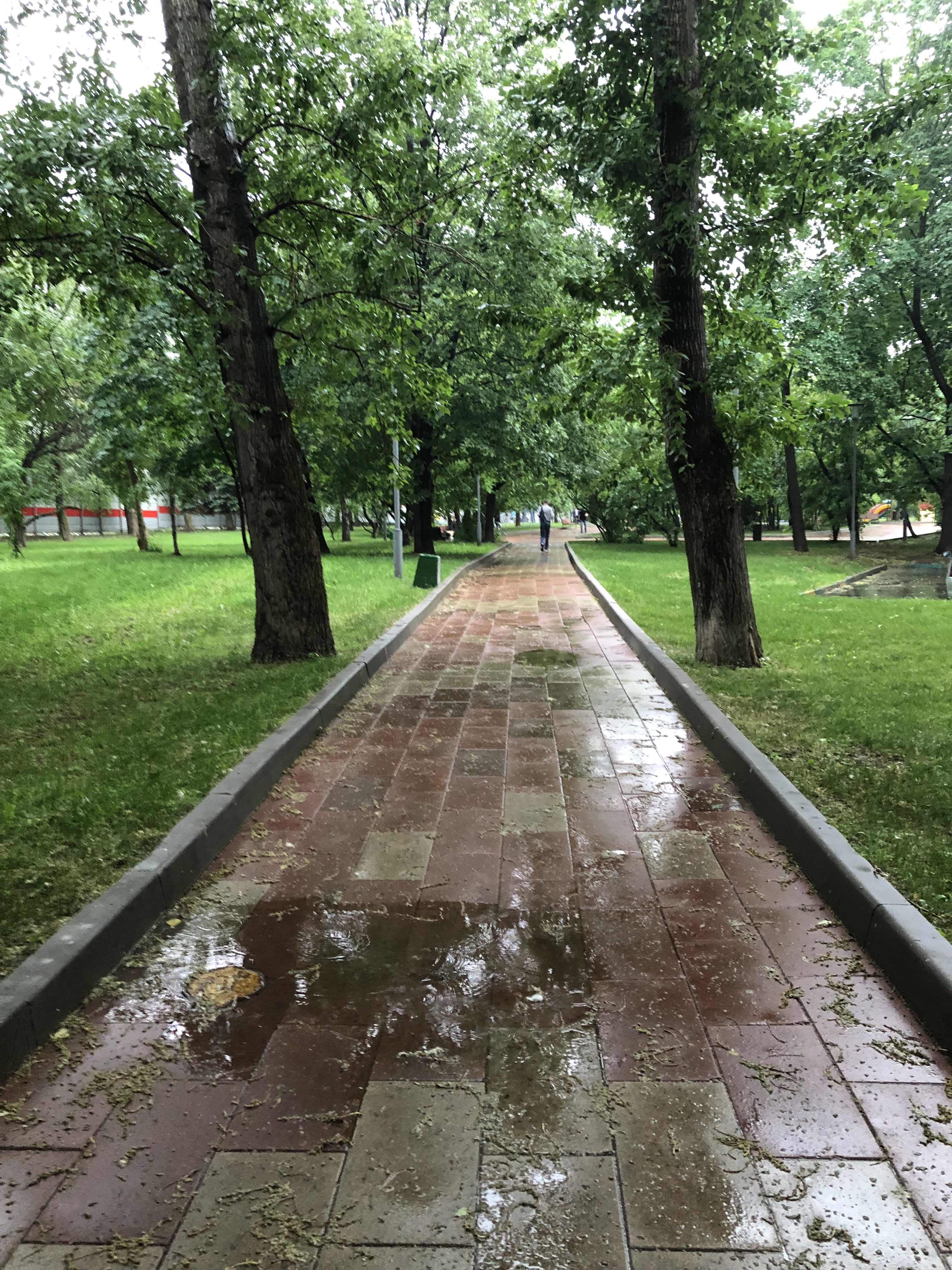 145FA94E FE7D 496A BE6F 813B306141D4