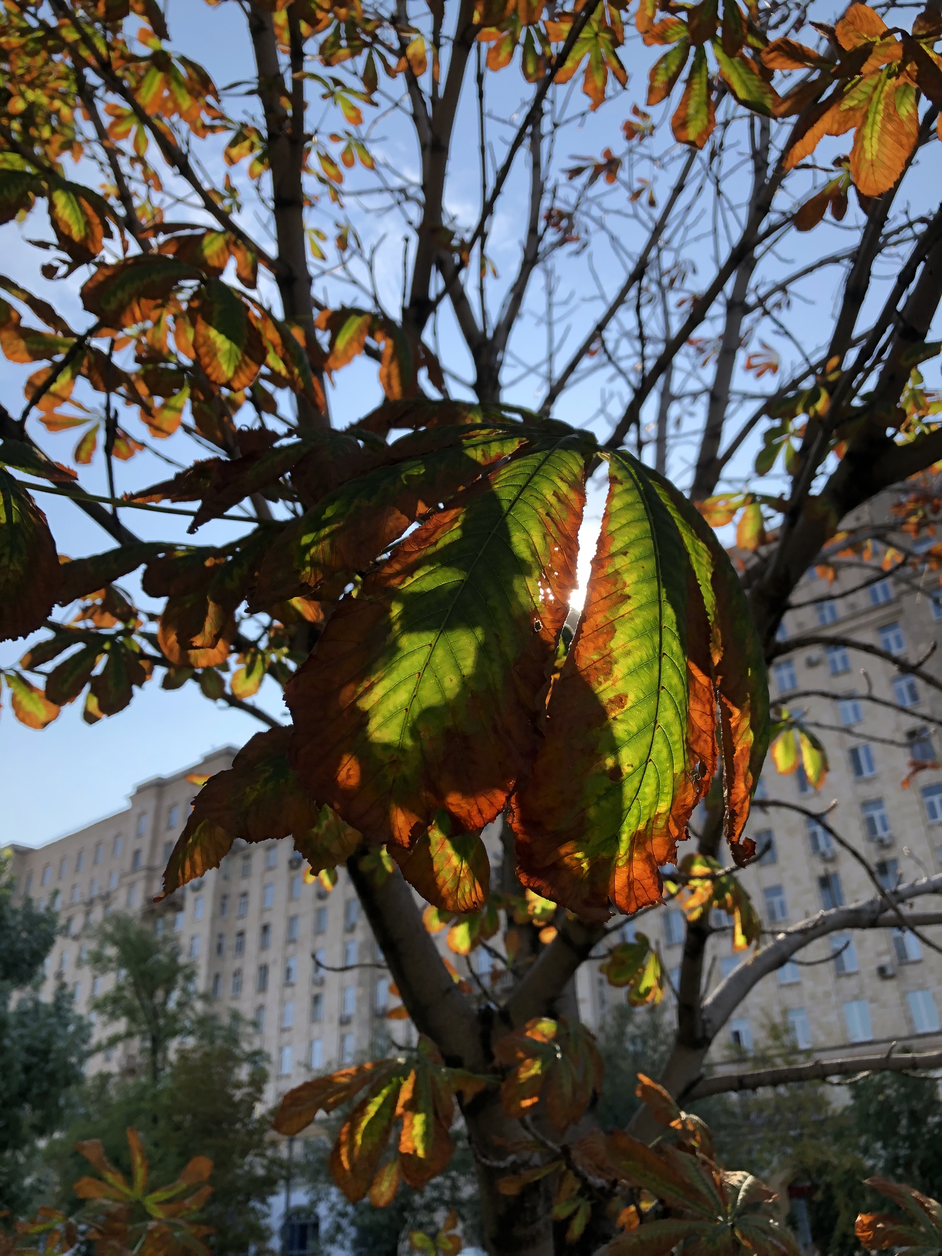 9464B292 B5E0 4BAA 867C 5FA357E14604