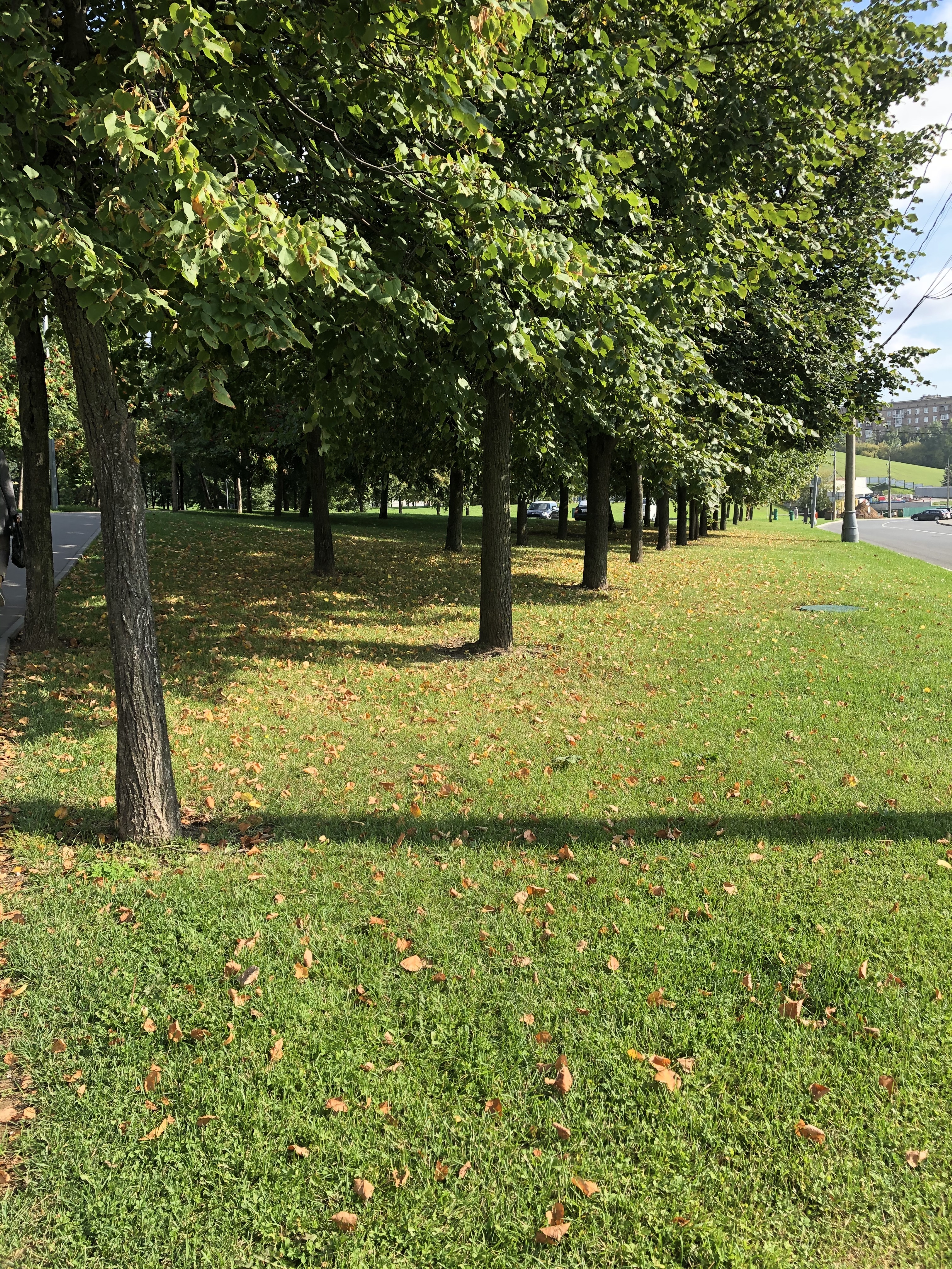 A5DE24EF 9A2B 491E A84C 5D57C04877DE