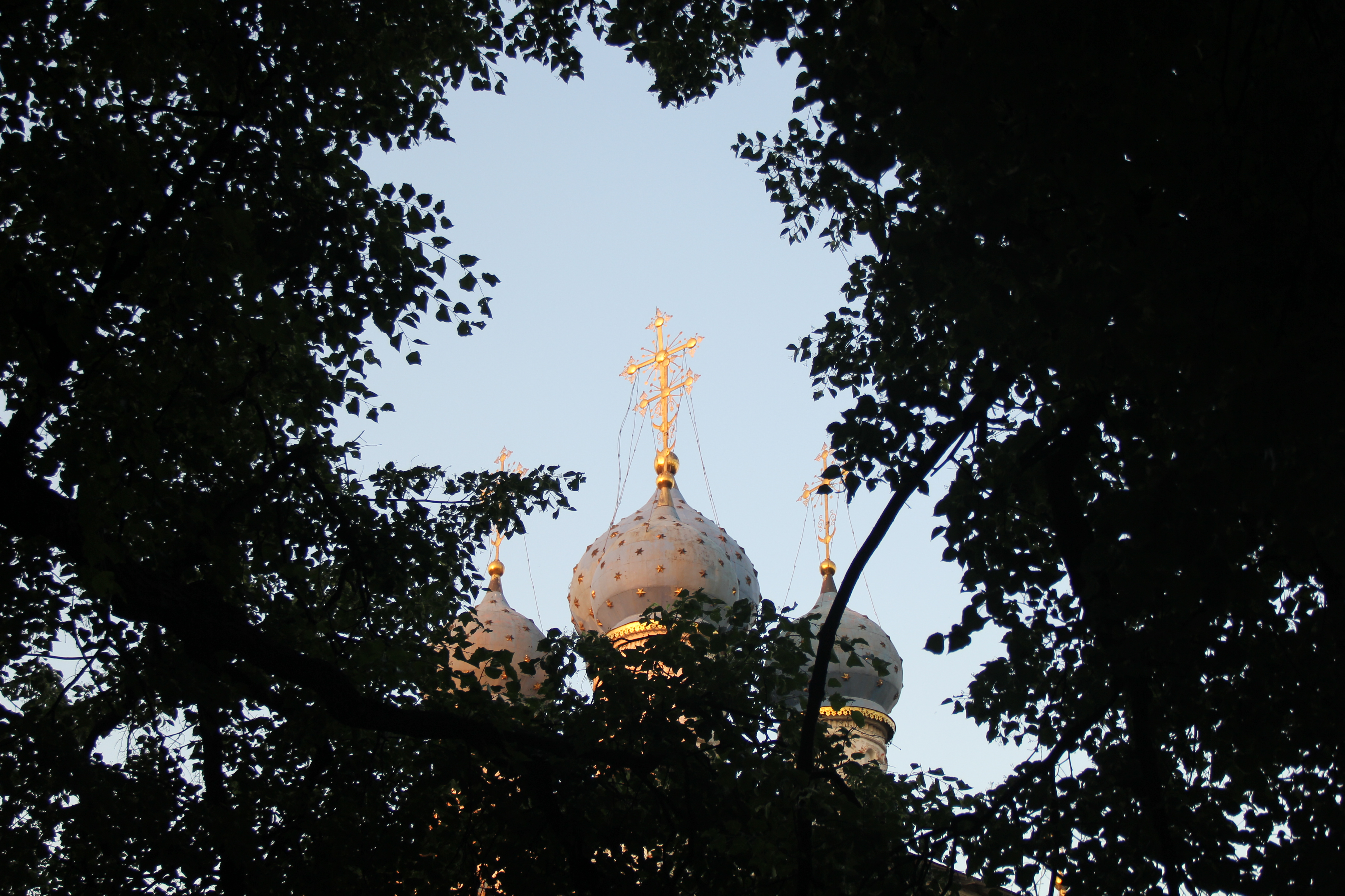 B893466C D4E7 4C8C 8D70 7BF615A08C5F