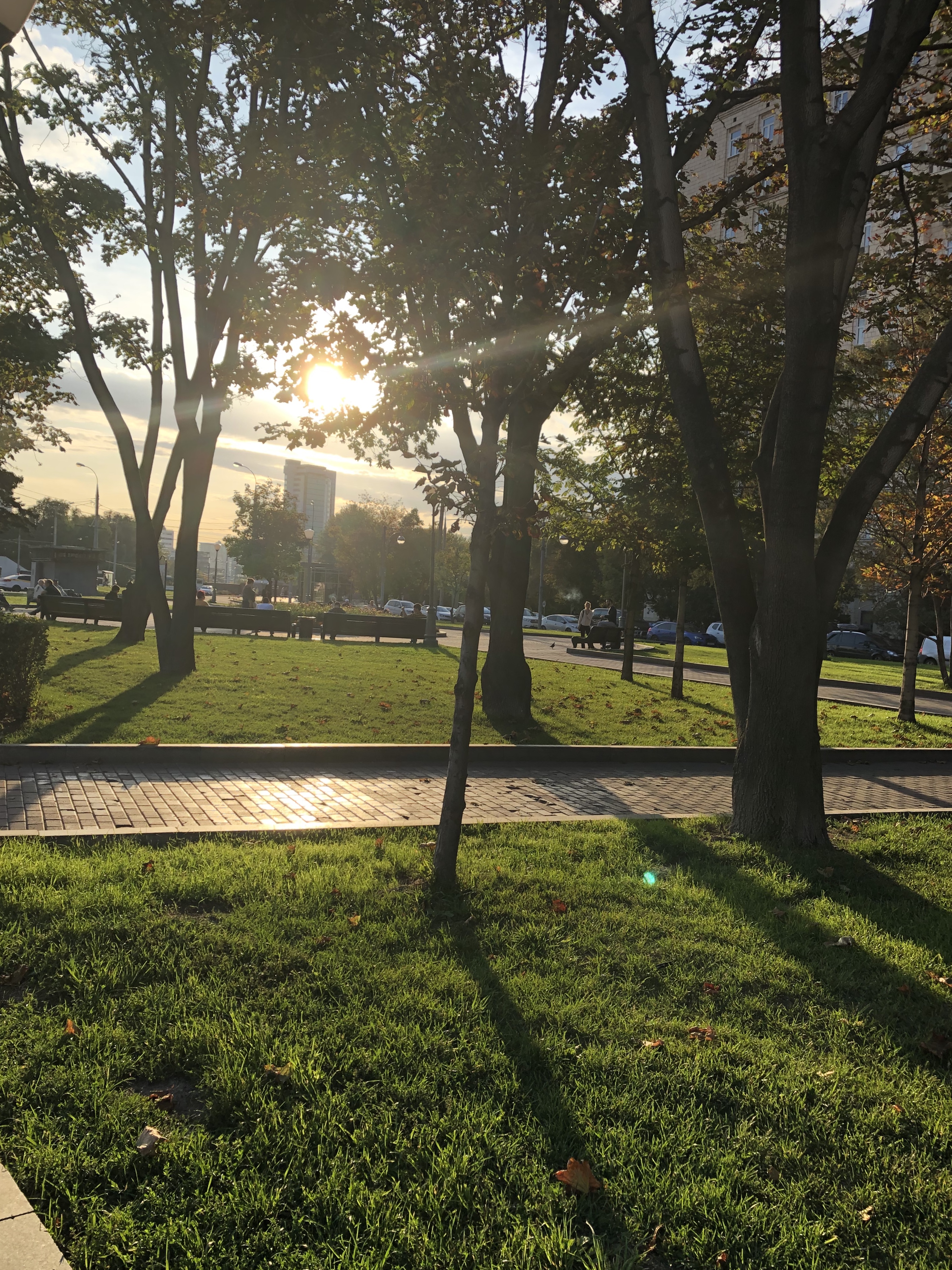 C7BD7C49 3509 46F2 A53E E90E9A808184