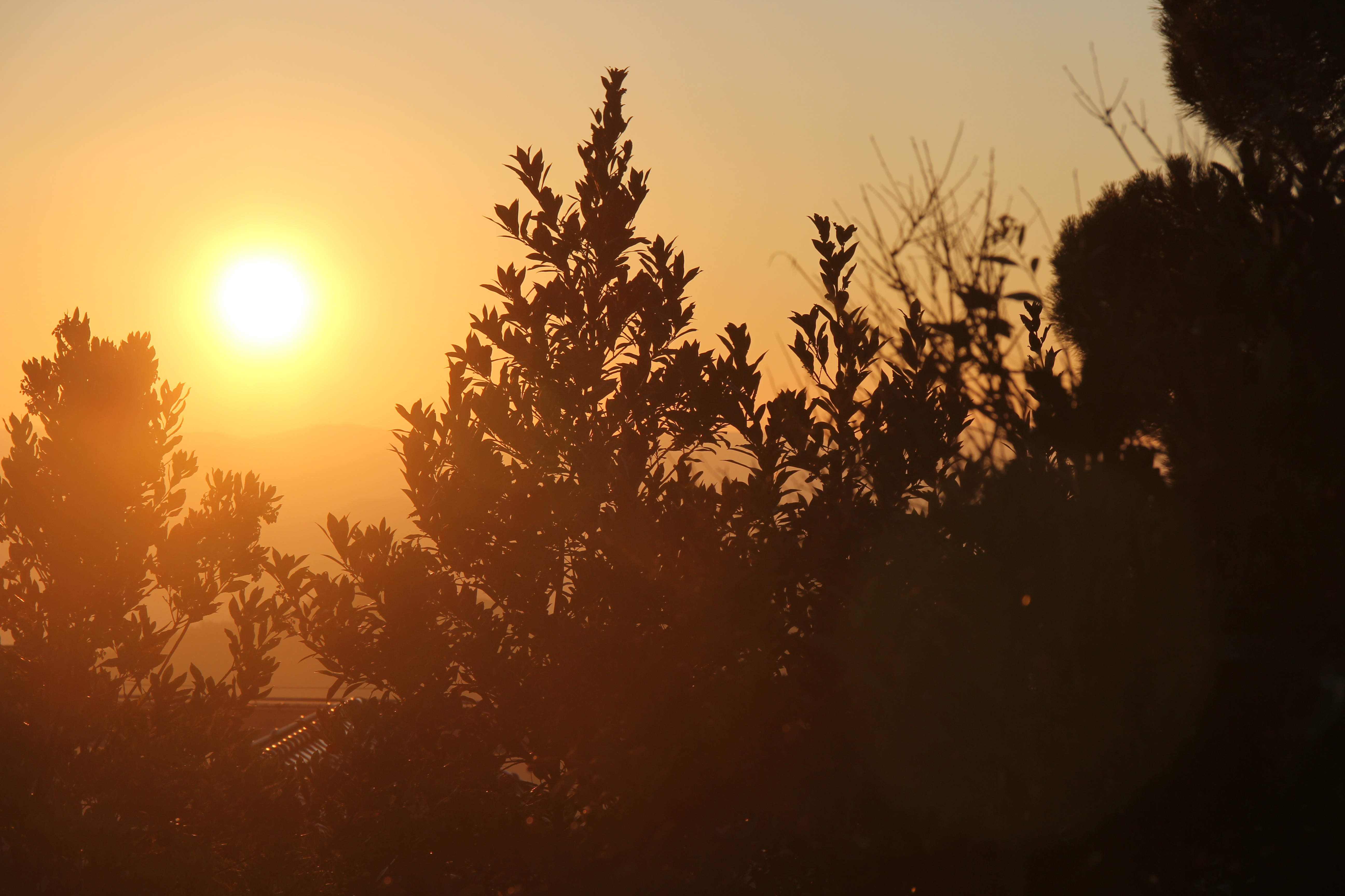 0eb69c7c1597a78285a6aff8150a29d3