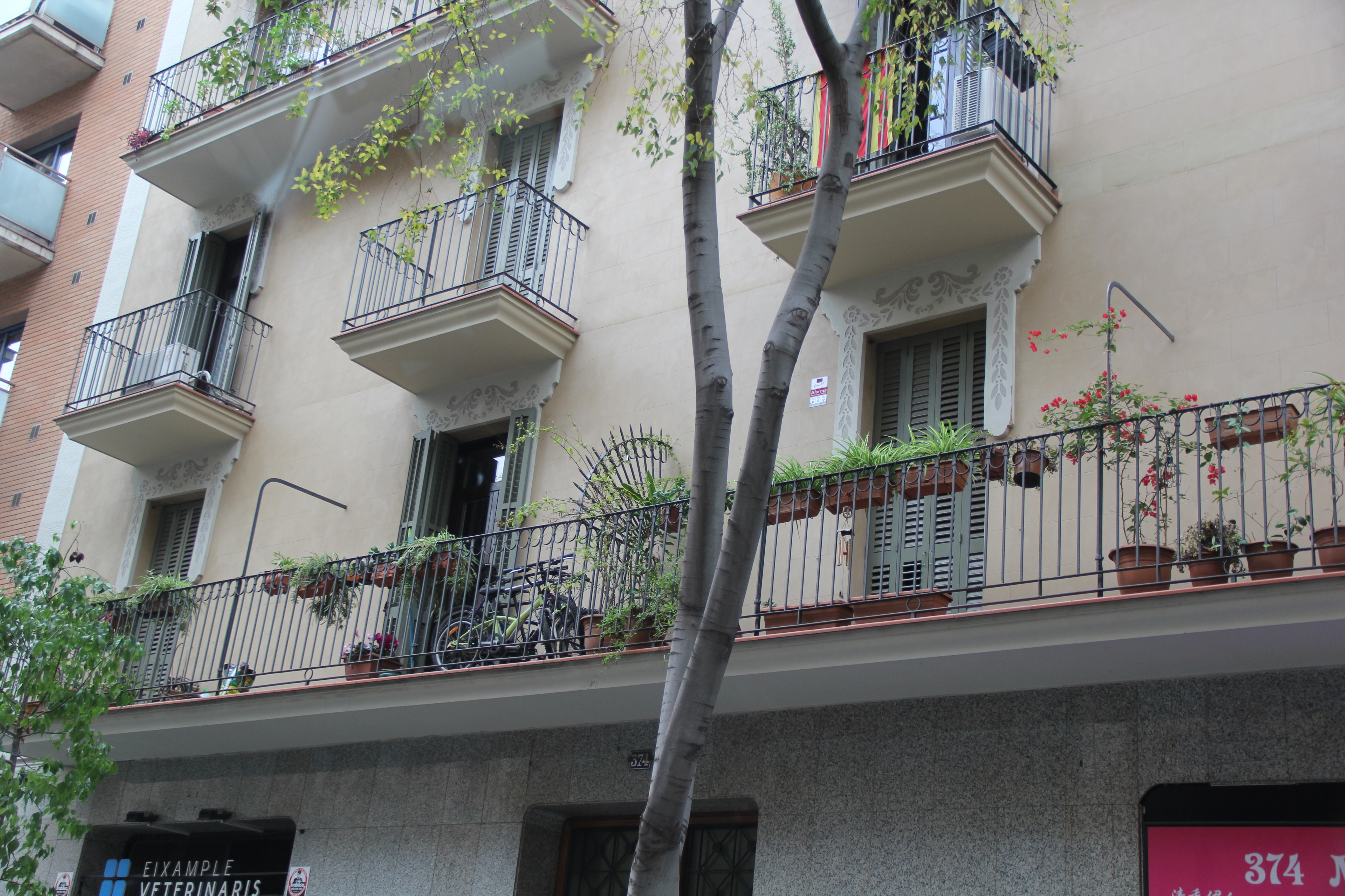 531c90a425accef86f32a05167730dae