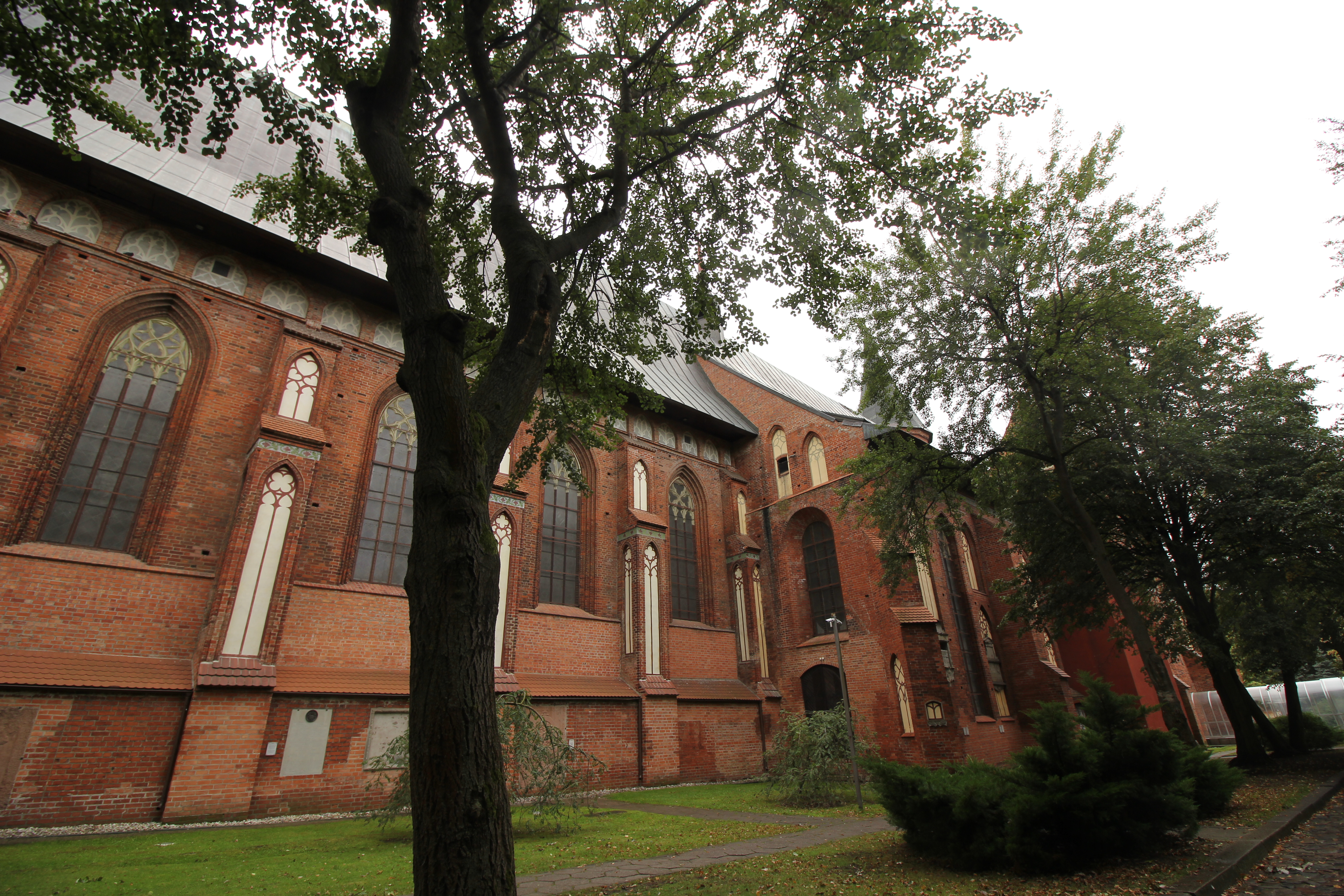 A3F526CD D121 4FE4 891D 8237F794DE45