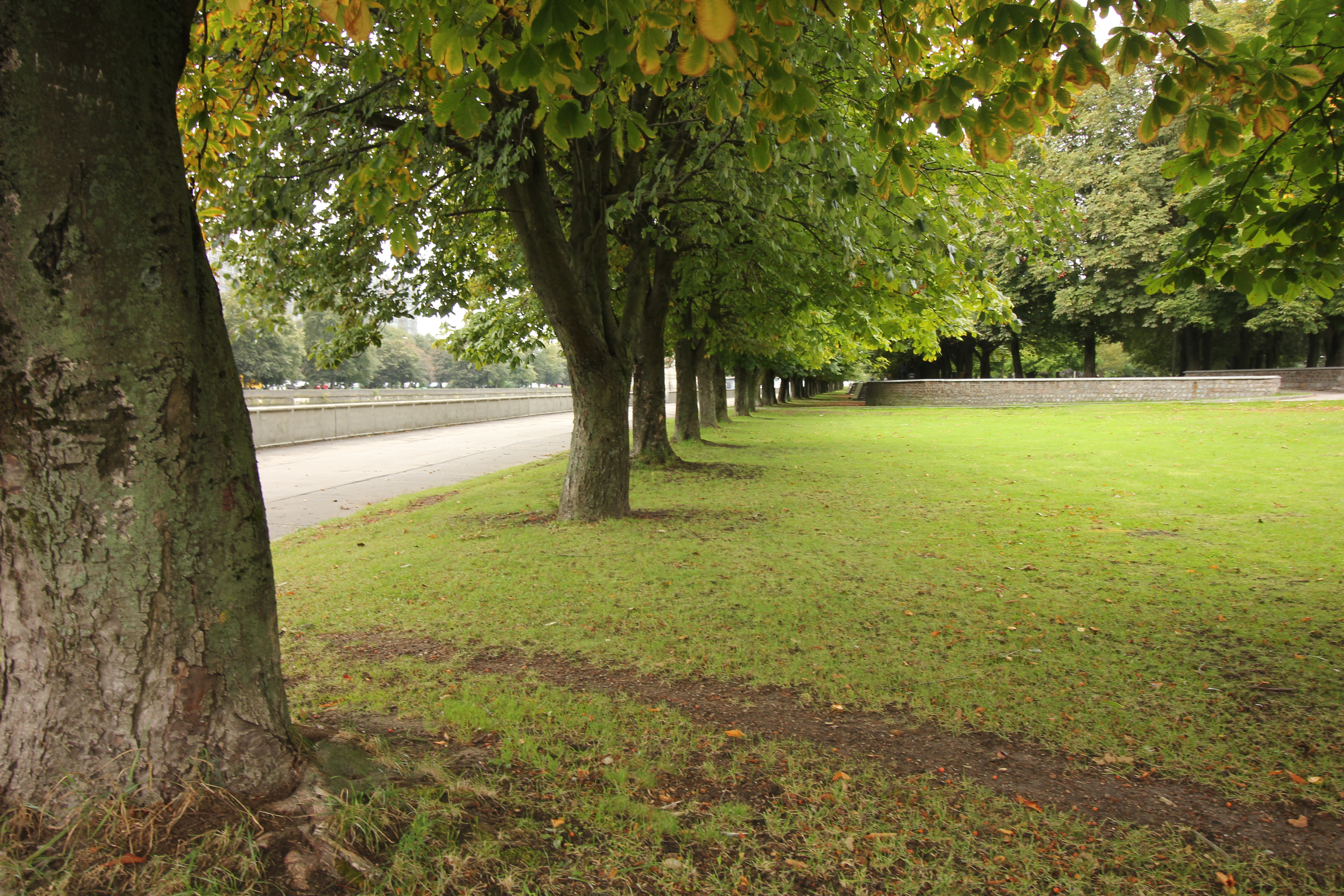 C42DC1F3 CC92 47D9 892B 1BEE511FE116