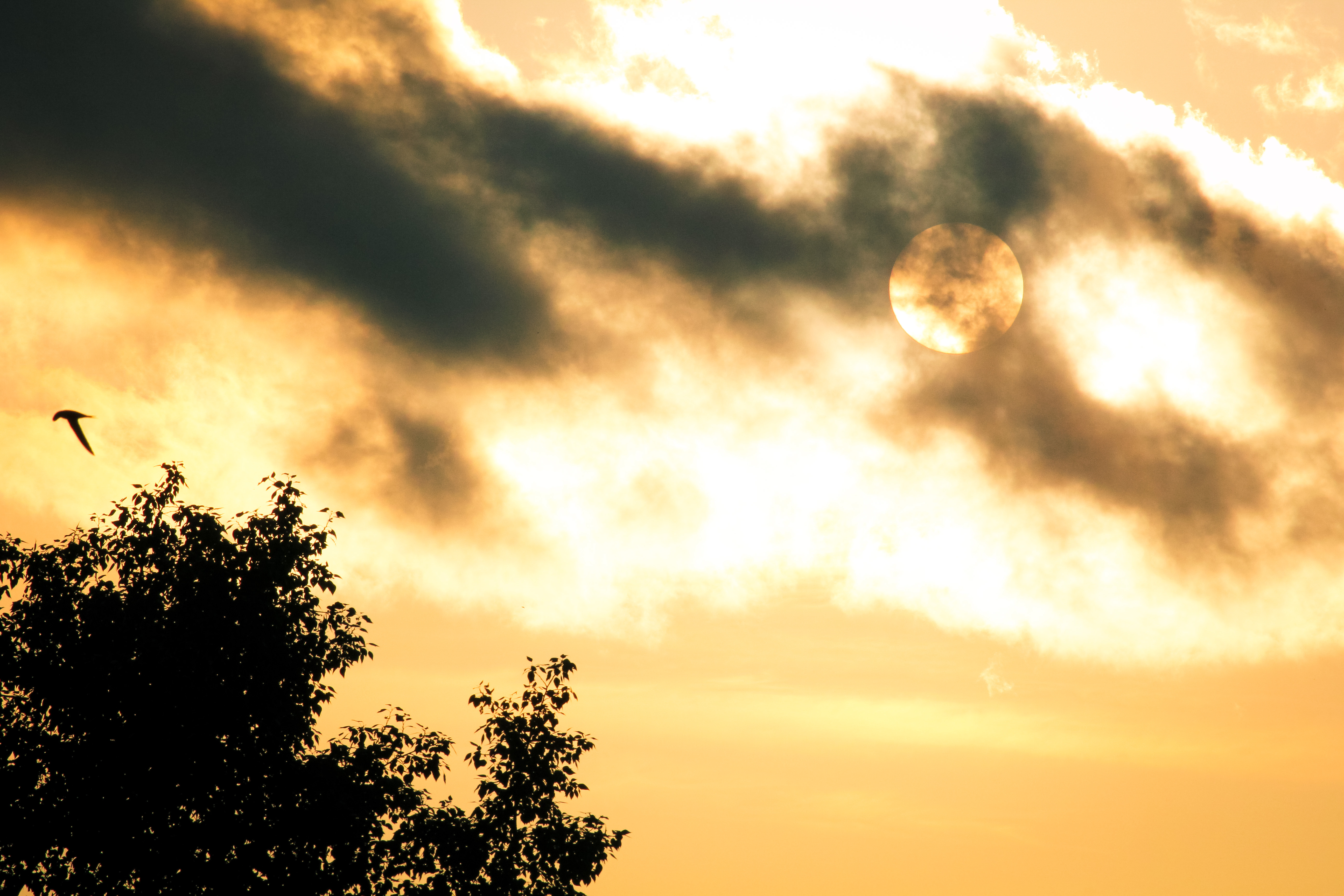 0191B26B 4B5F 4026 A05D C510F27FDEAF