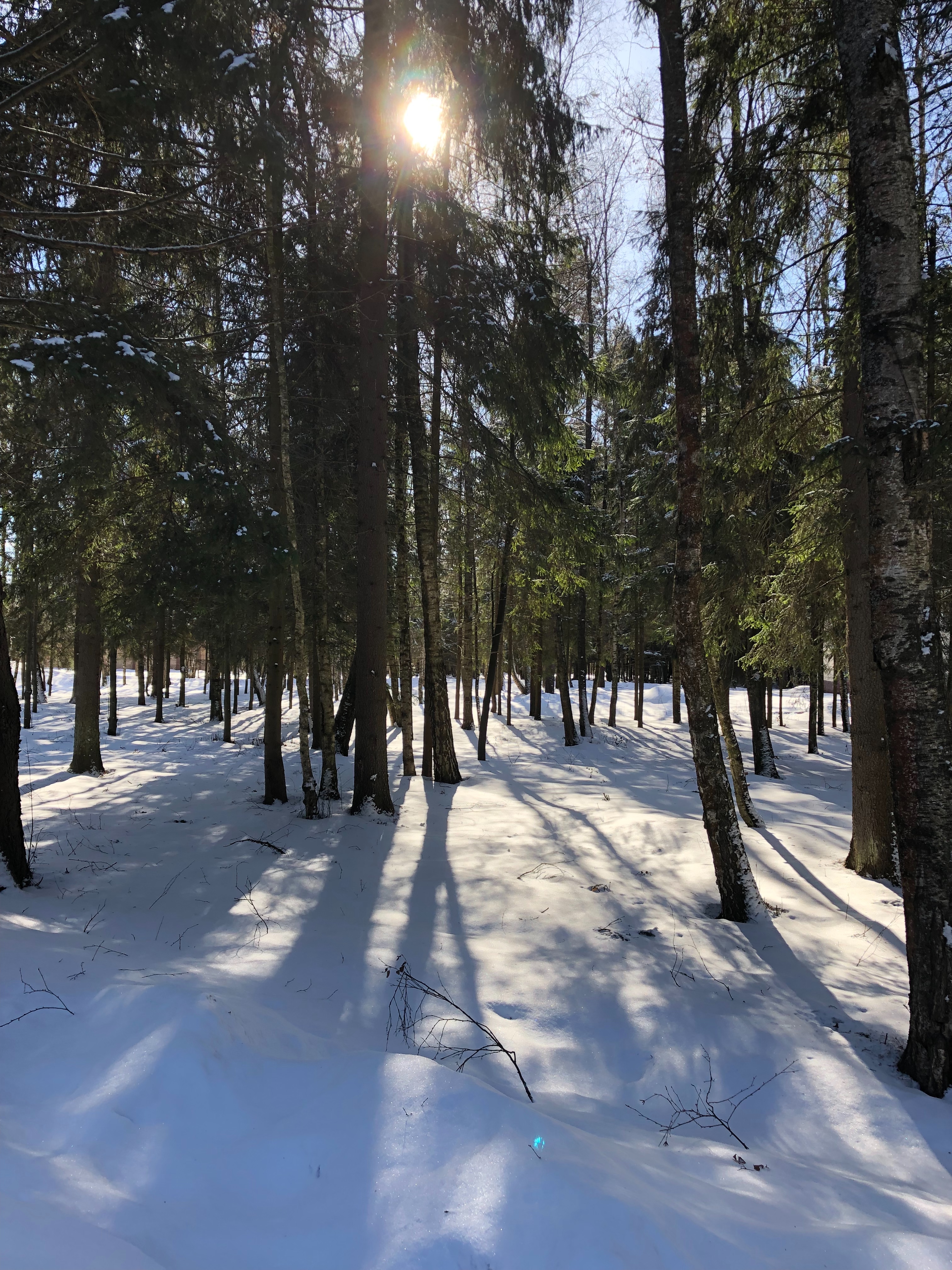 29F551A6 3346 47E0 8EA8 43DFA2FF3A1D