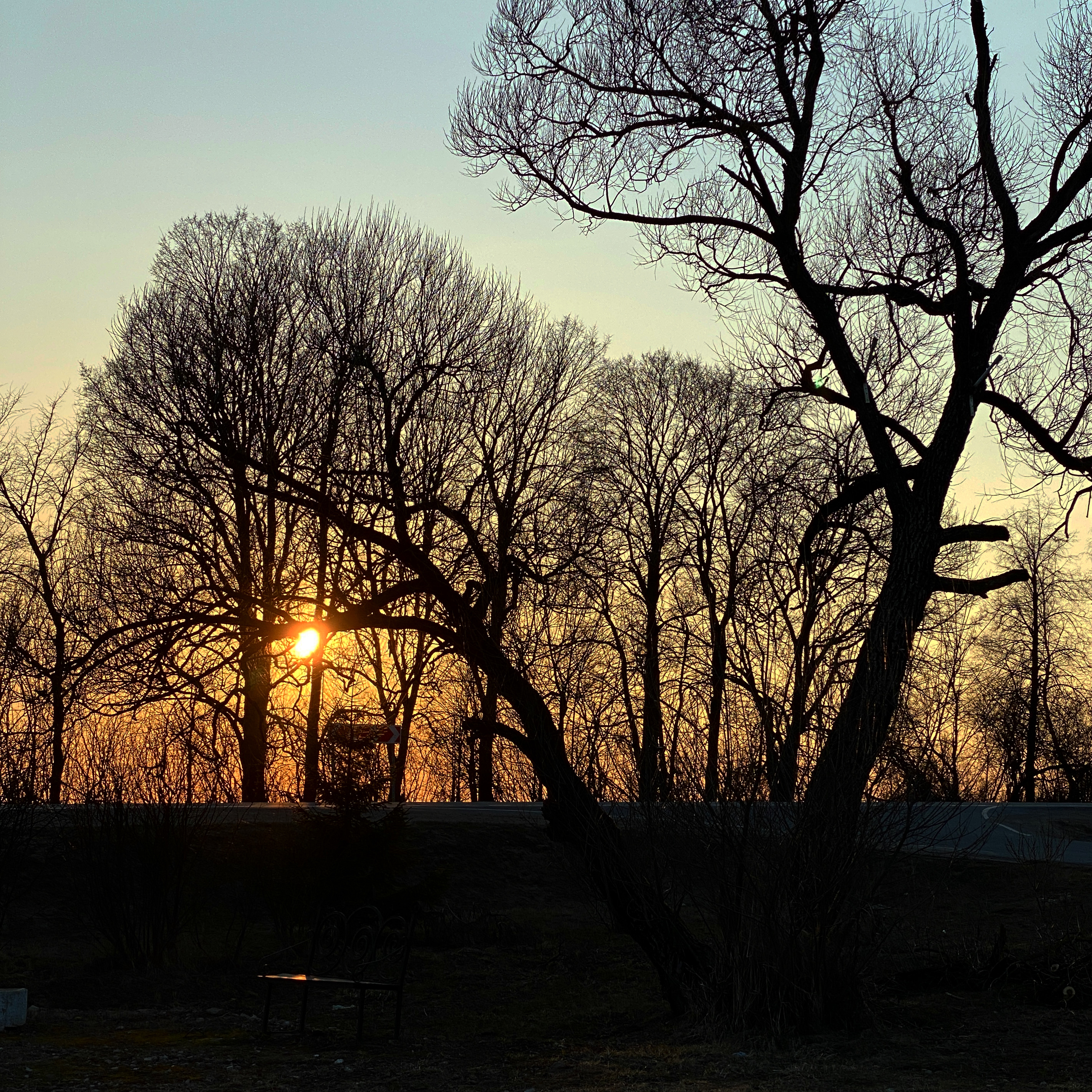 8F19F44E C71F 44B9 89E7 4C8046695043