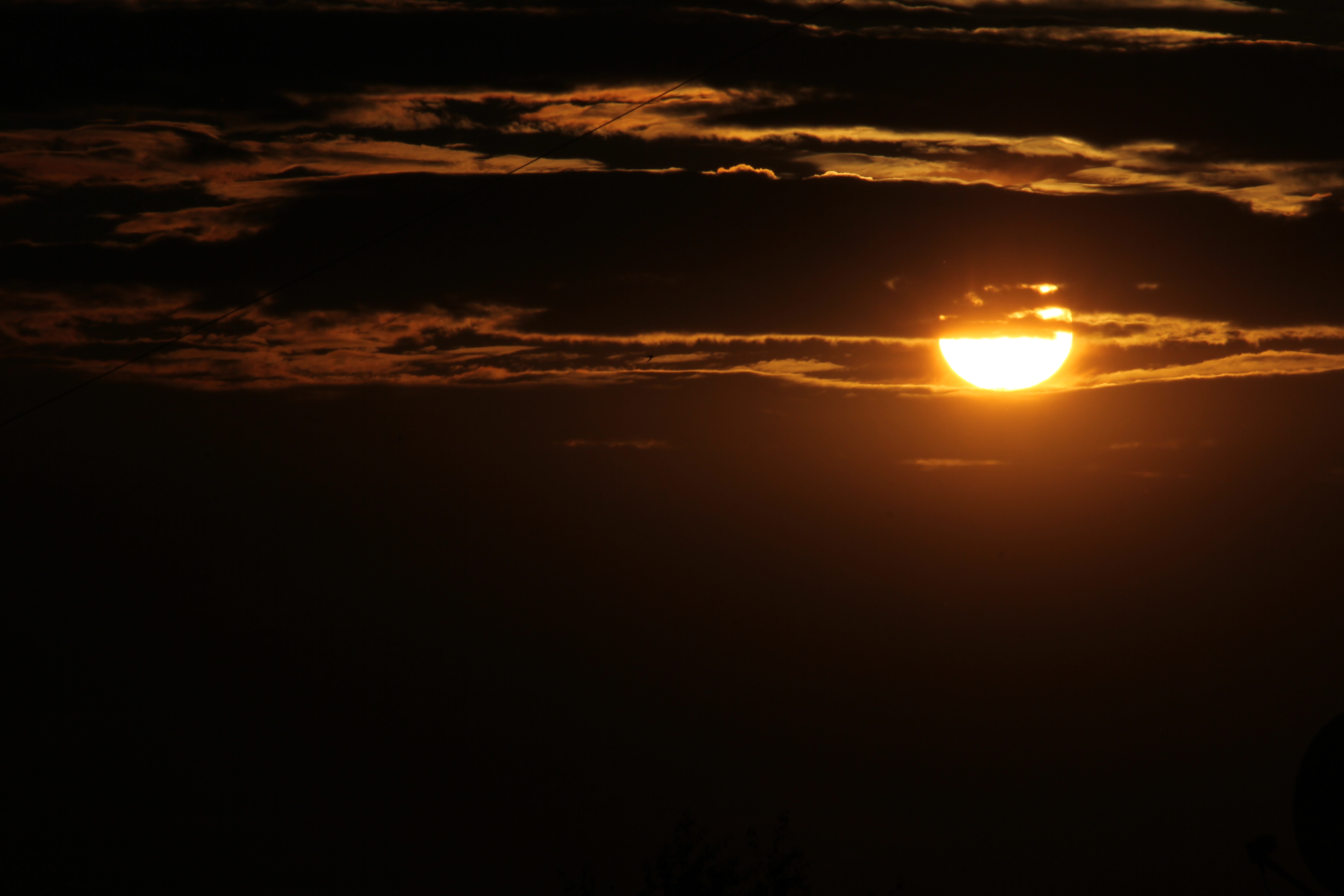 C2FFA7F6 B86C 4488 BB00 C455CCD59B2E