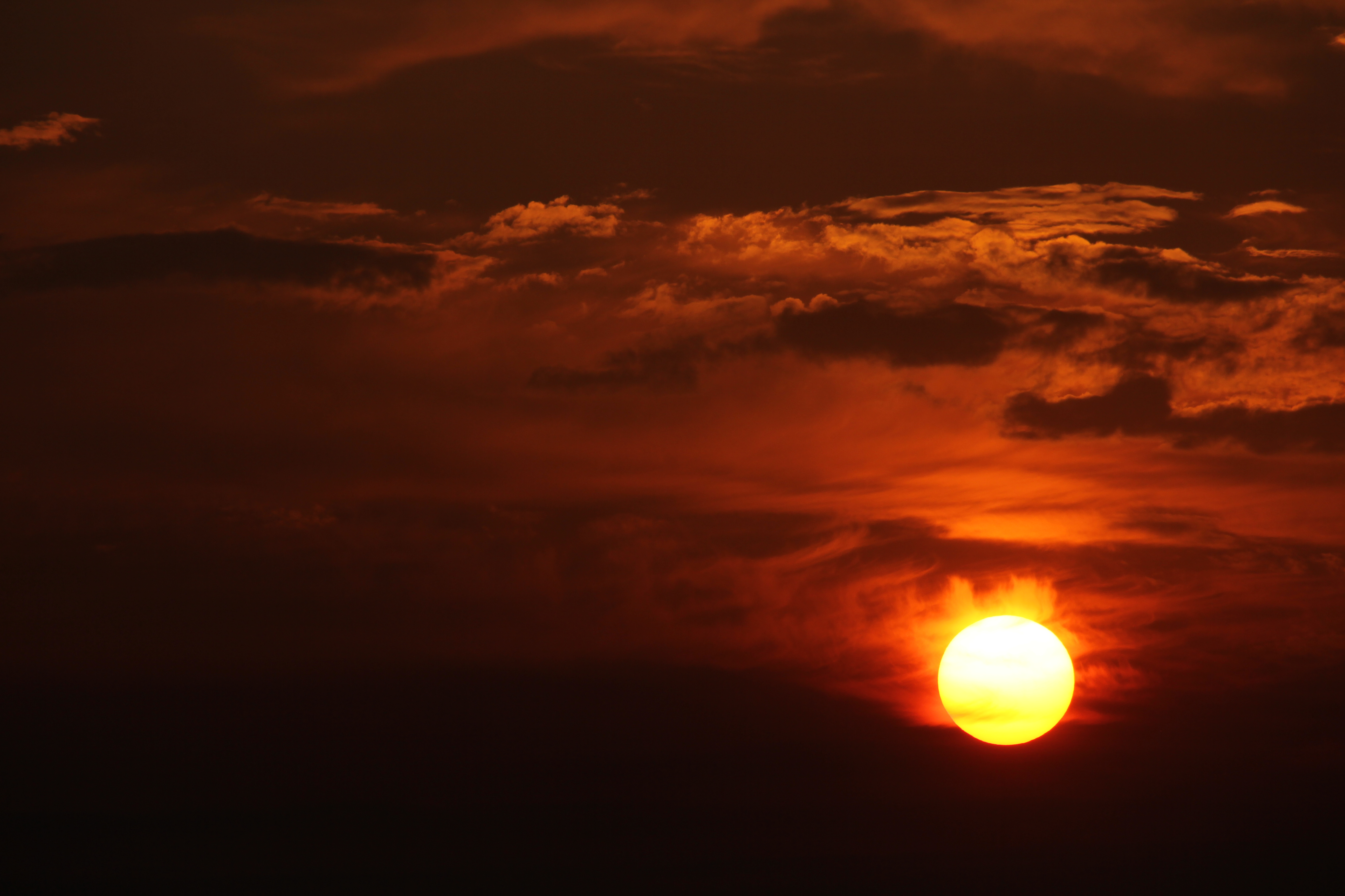 E67E955F 908D 4AB5 B6C6 0D33A2CDEBE6