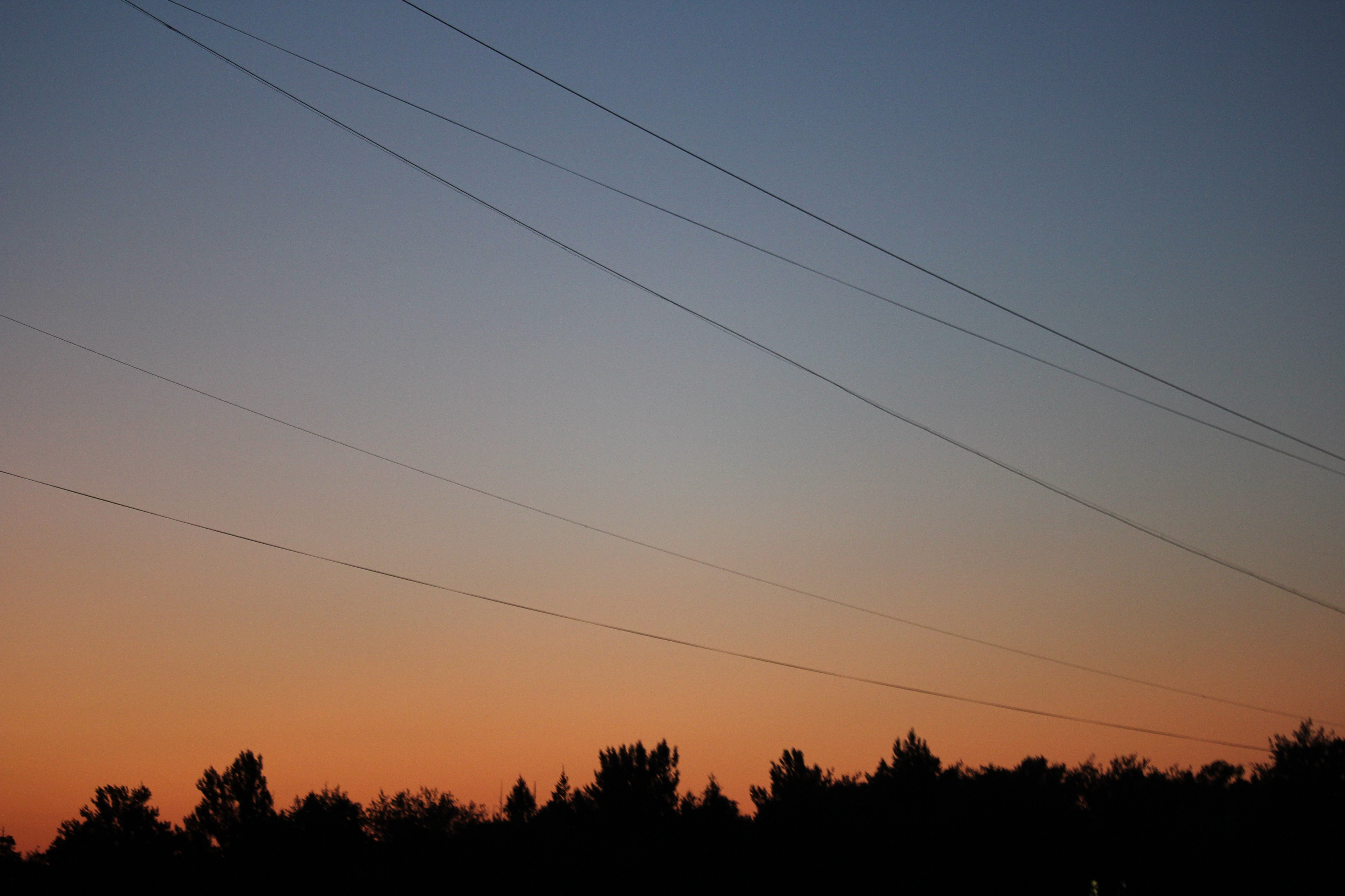 F8783F5D 3EB9 4A4E BC87 1E0578443EF9