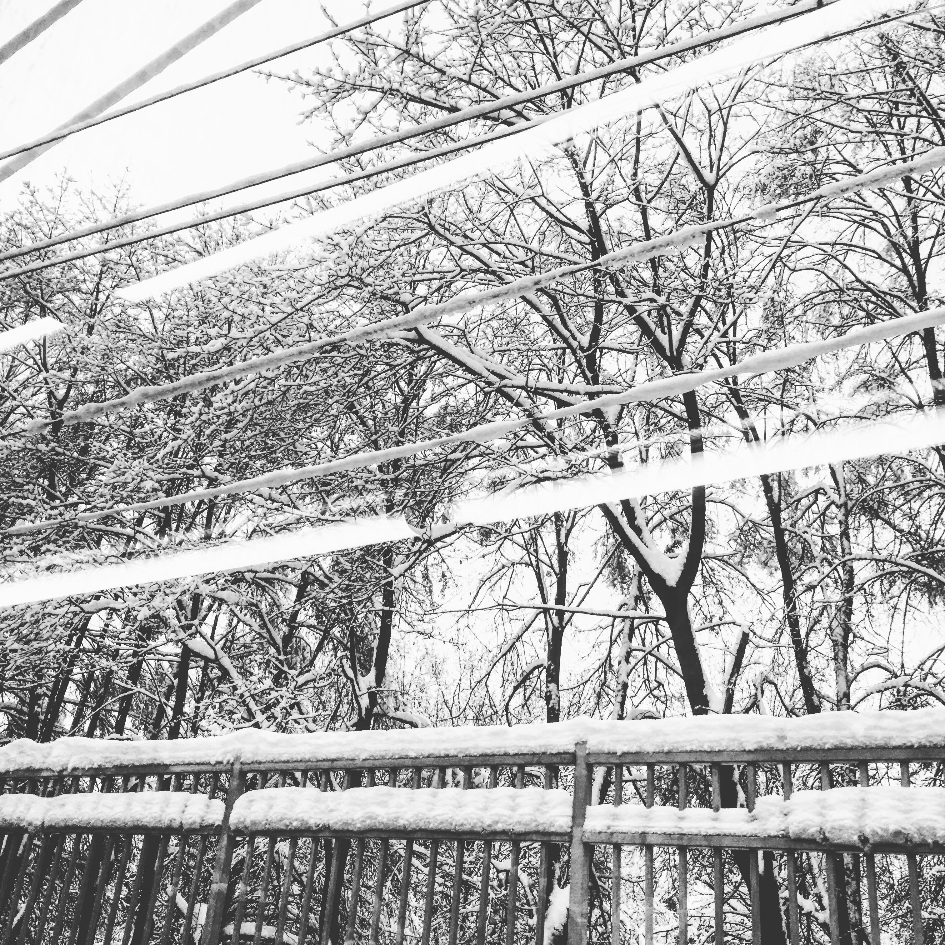 69469D3A 0200 4148 B06B 292EECBD52CA