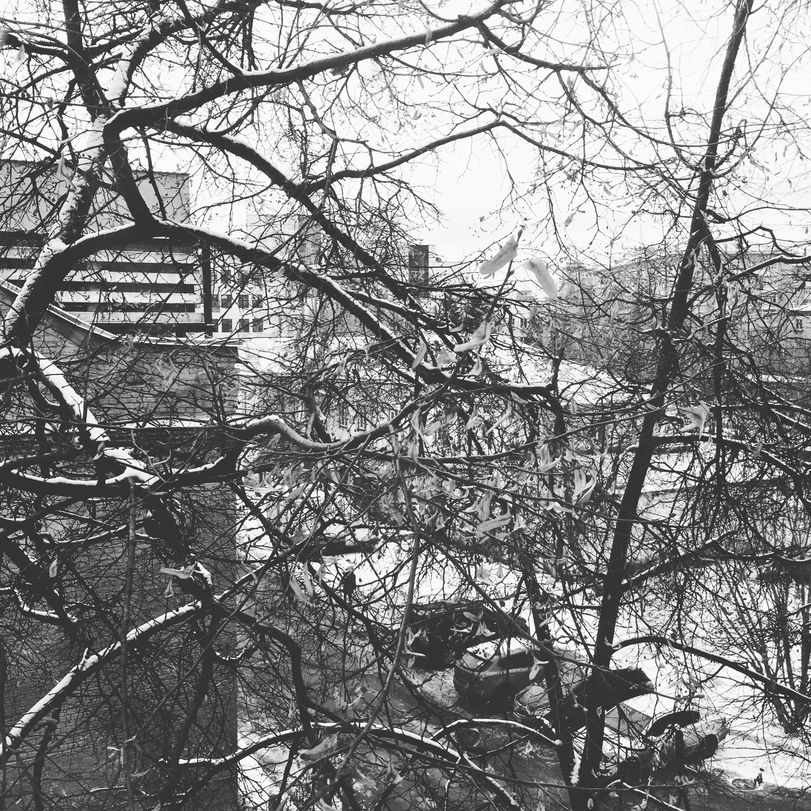 AD8ED583 A59E 4D6E 8BCE D38ED112D54D