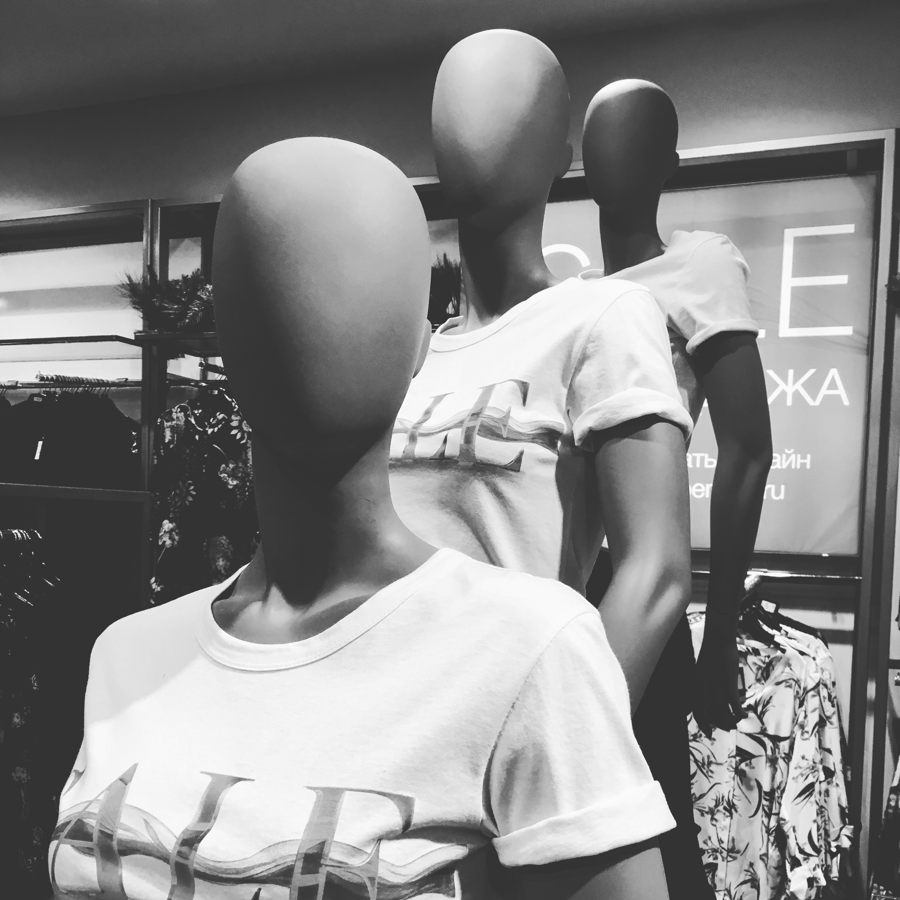 E7553E89 7F18 413C A74B AAA69B1944C0