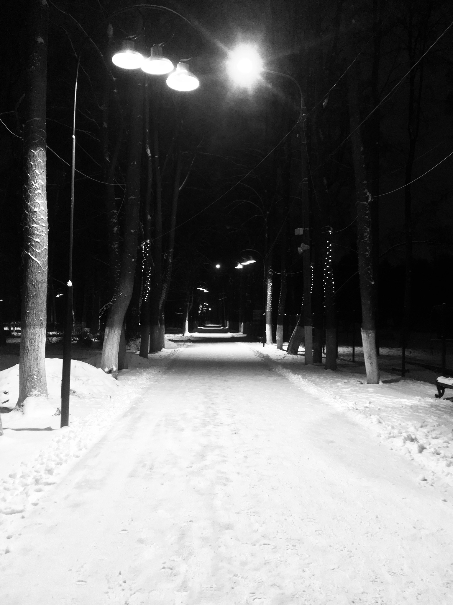 FD0B8A4C B8B0 48FA 8A9F 6189C7EC46CC