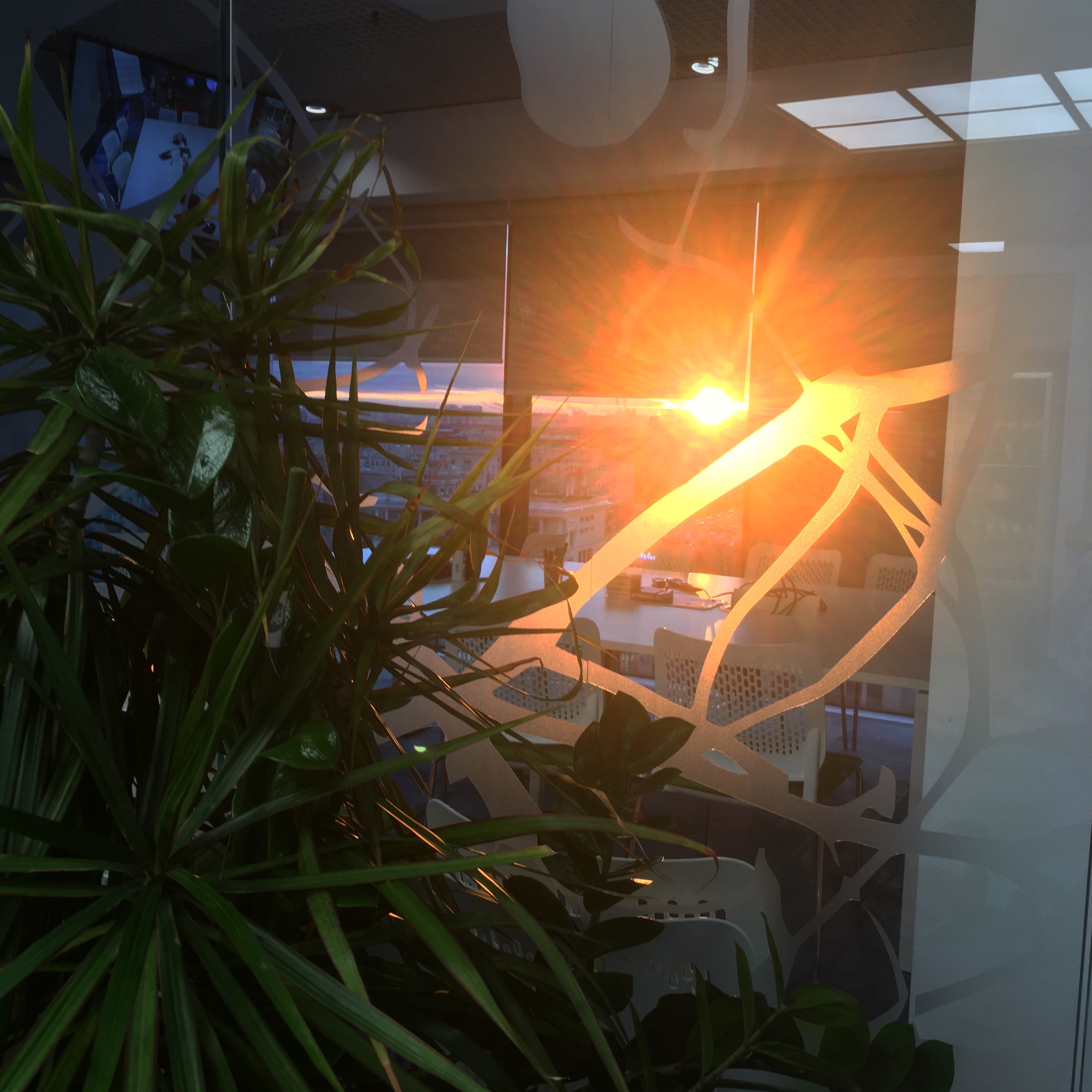 2BCFC935 61E4 46E0 85A8 1B9D60BD8433