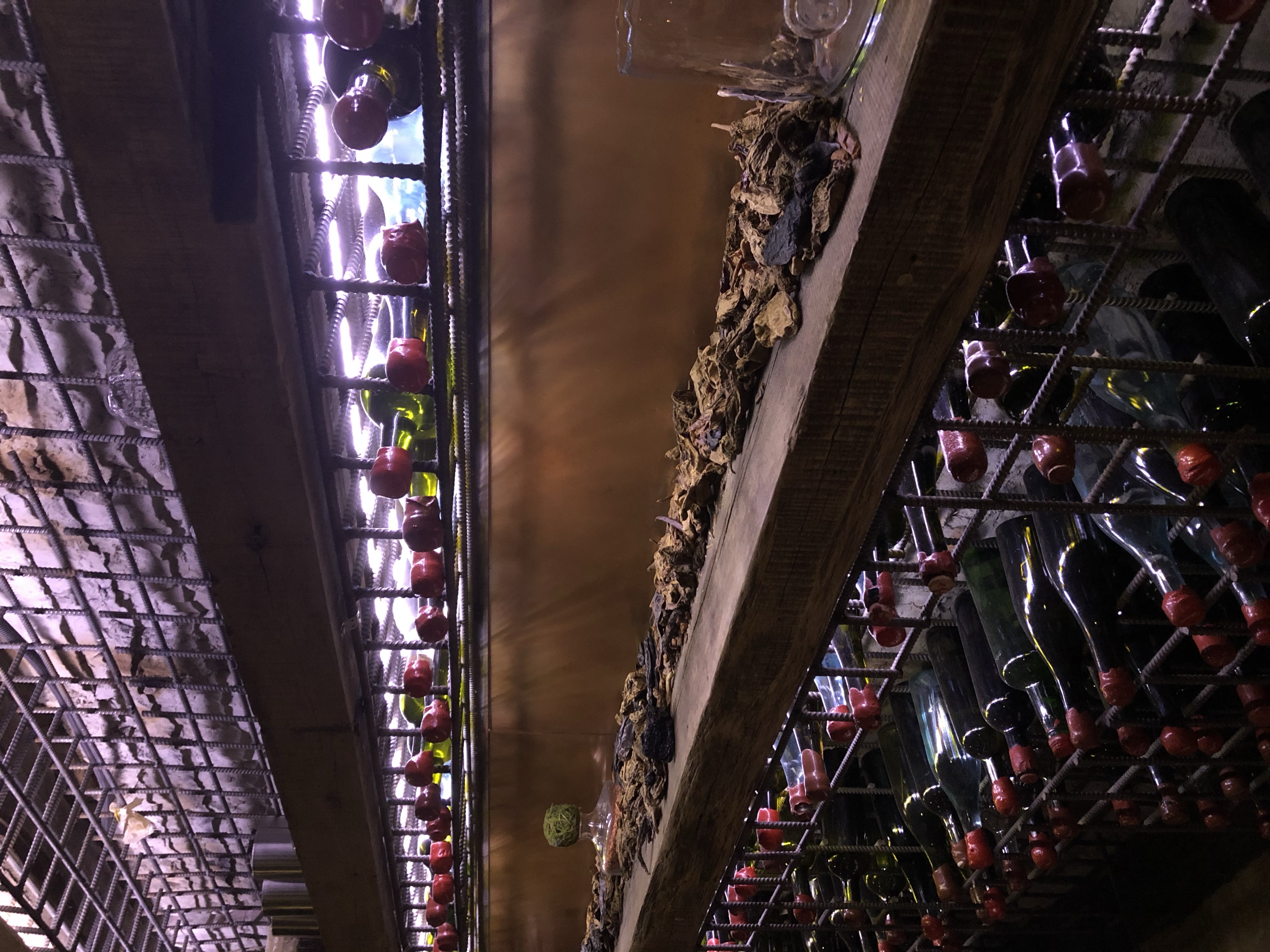 3CBD3049 1443 4F8E BE43 89B212E6564F