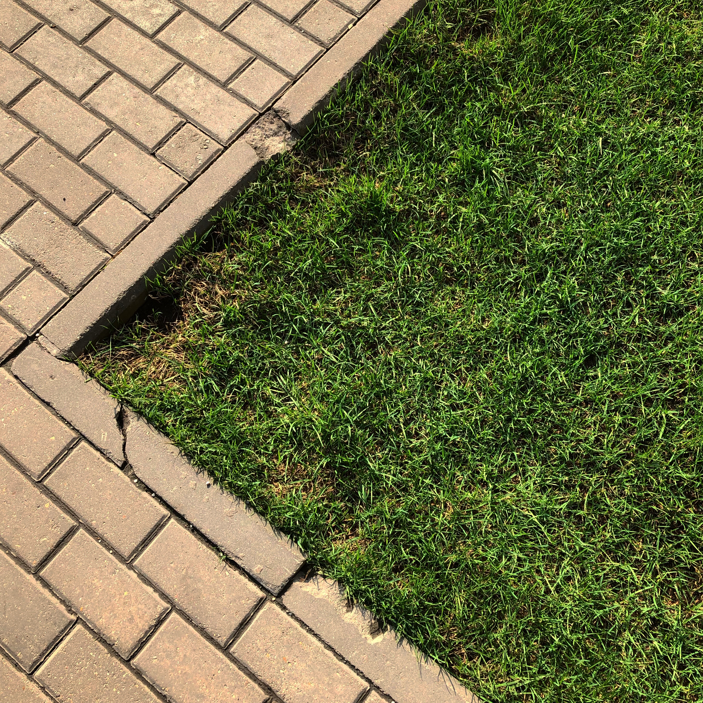 63E2ACF3 B47C 47DD 8EDA 69C28706BA42