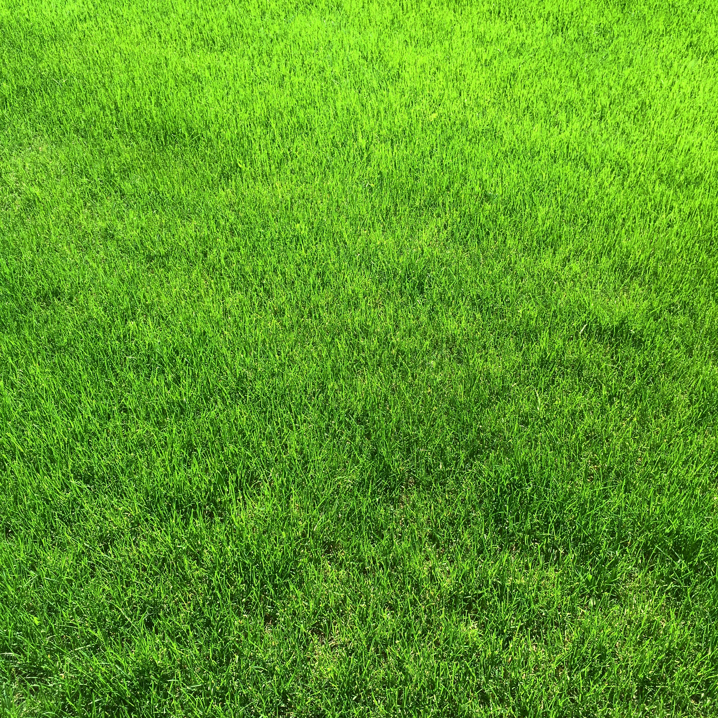 673121F6 E6D9 4824 B3B4 E198DBC8667D