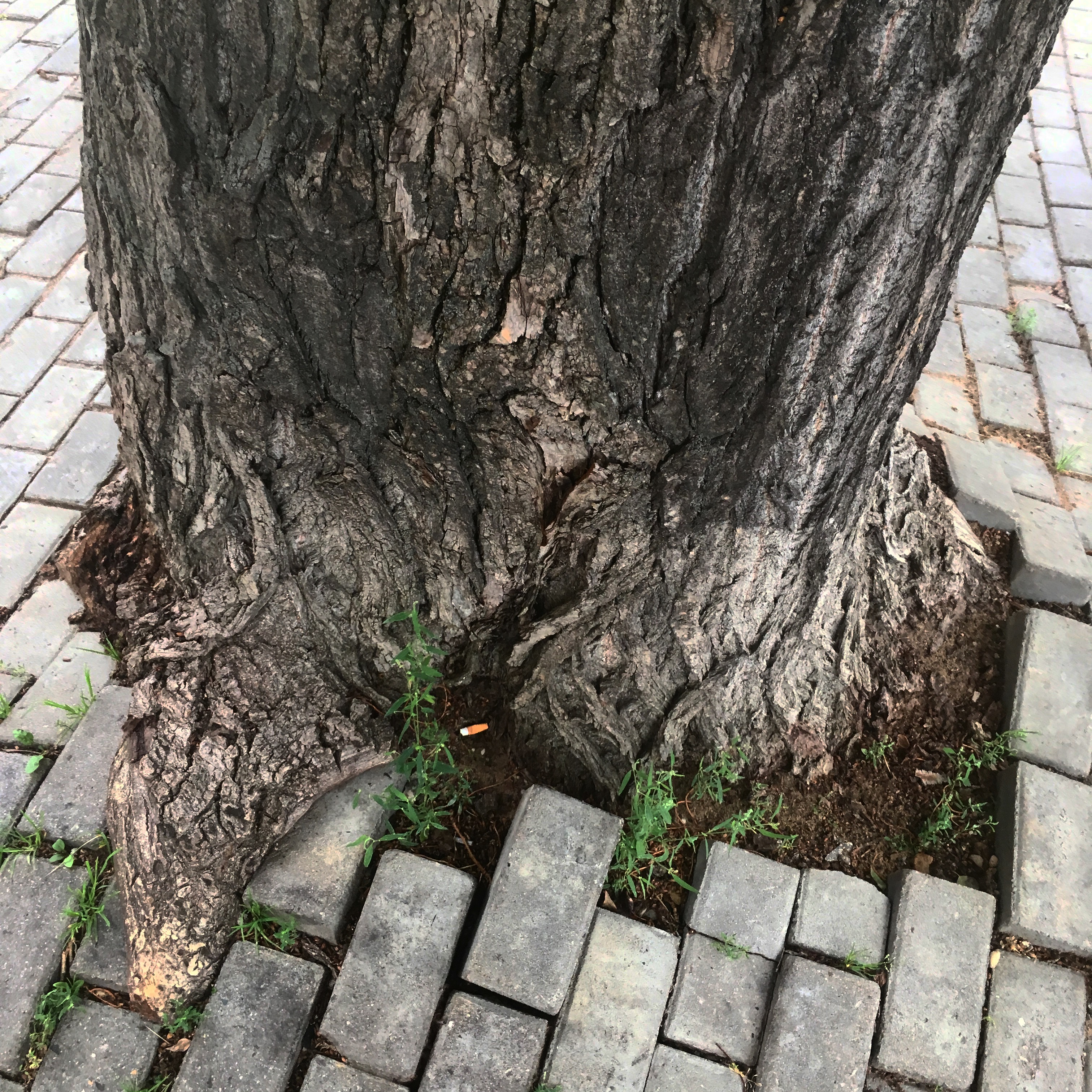 AD4DA503 171E 44B6 B405 A67020ADEC9D