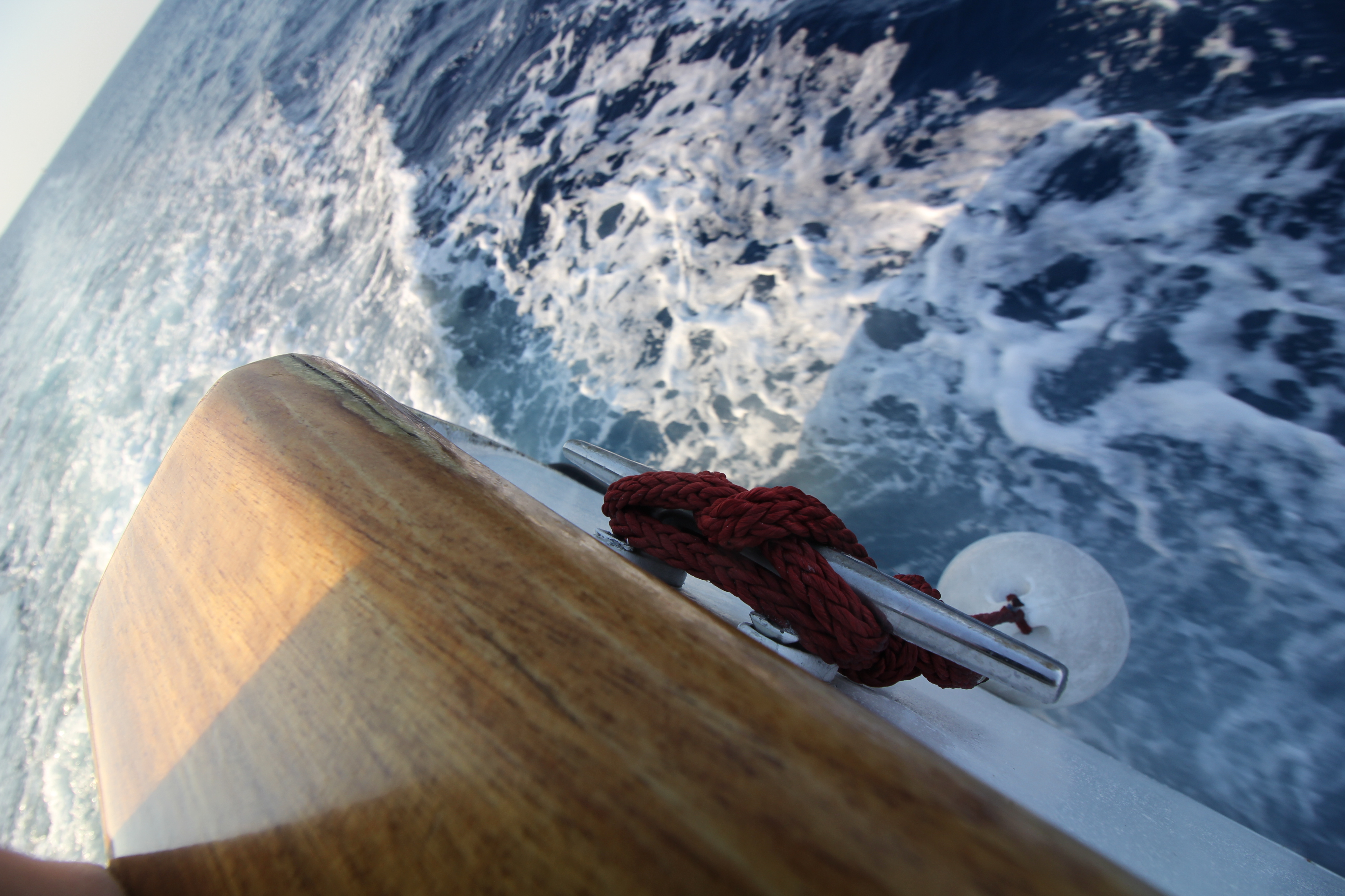 D244DC85 094E 4984 ACE0 0DBD6C5A384B