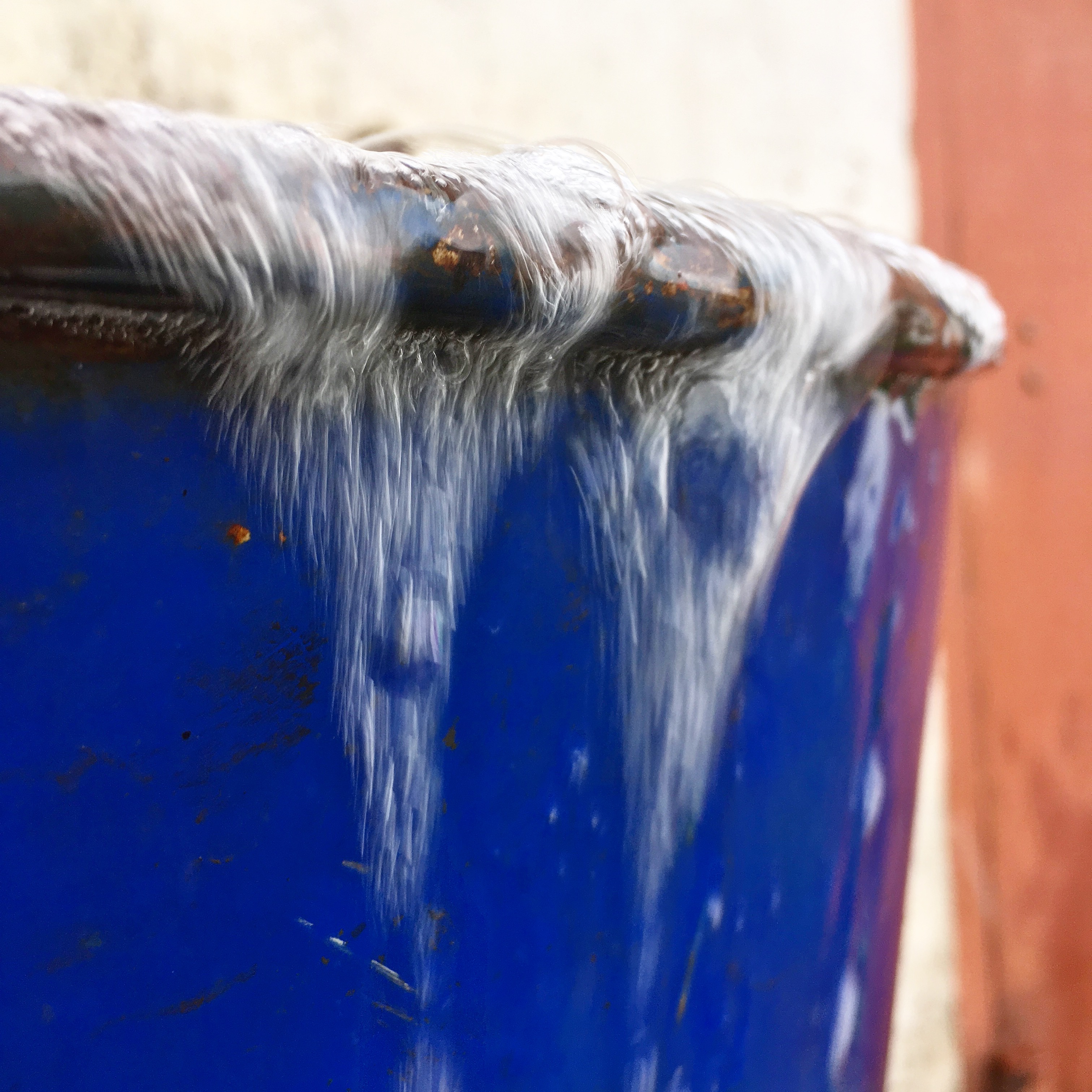 E0E6A26B 056B 414B AC66 F1FC5EE6988D